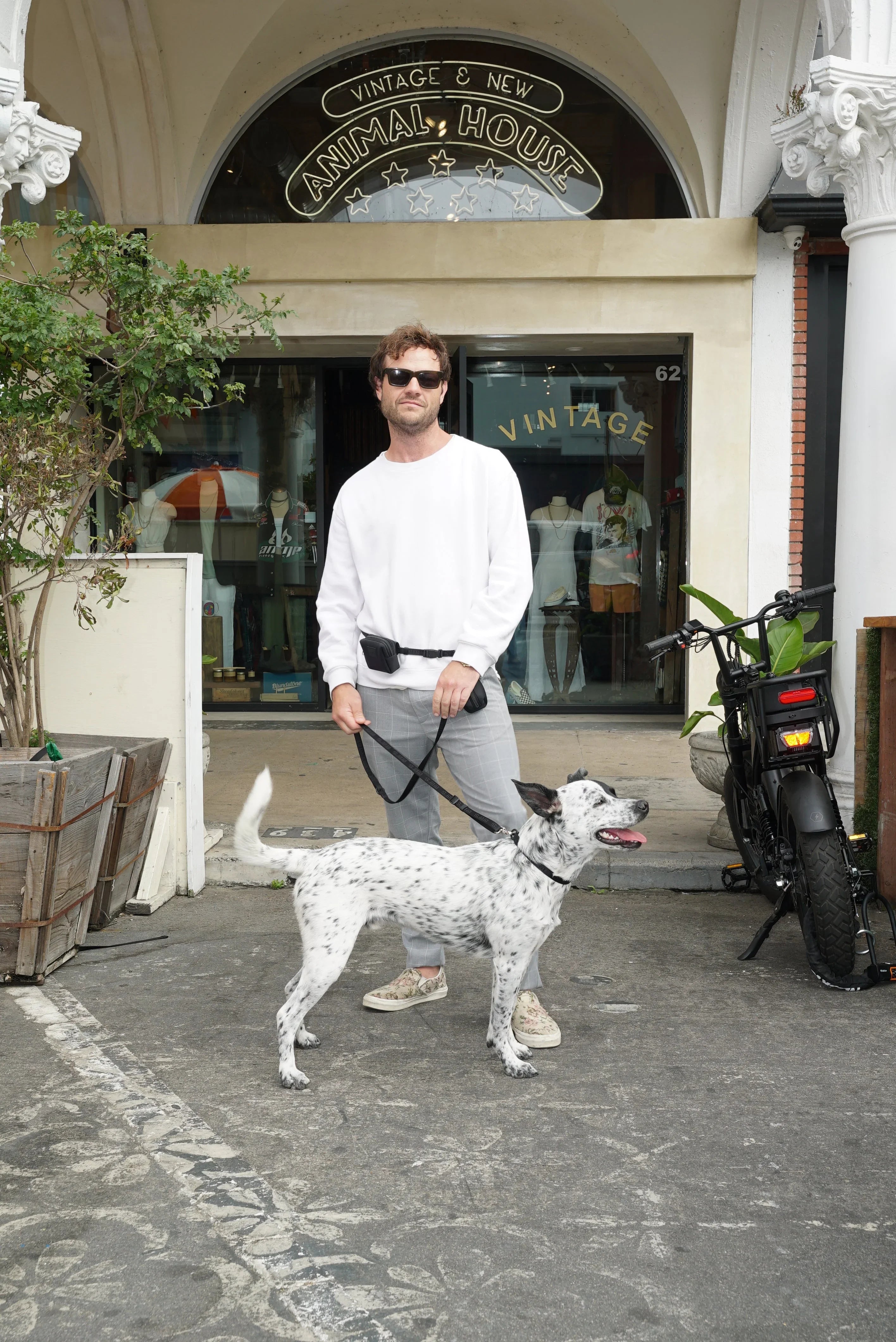 Hands-Free Walking Sets with Collar