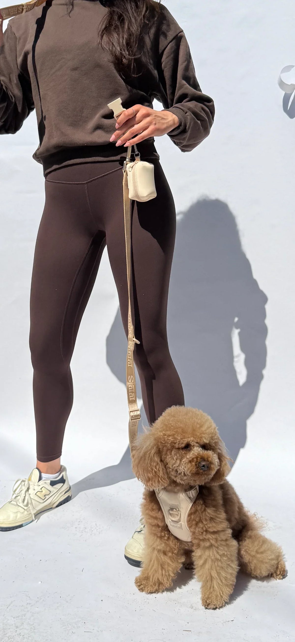 Oat Beige Lulu's from Cali leash and waste bag holder, with a poodle in a matching harness