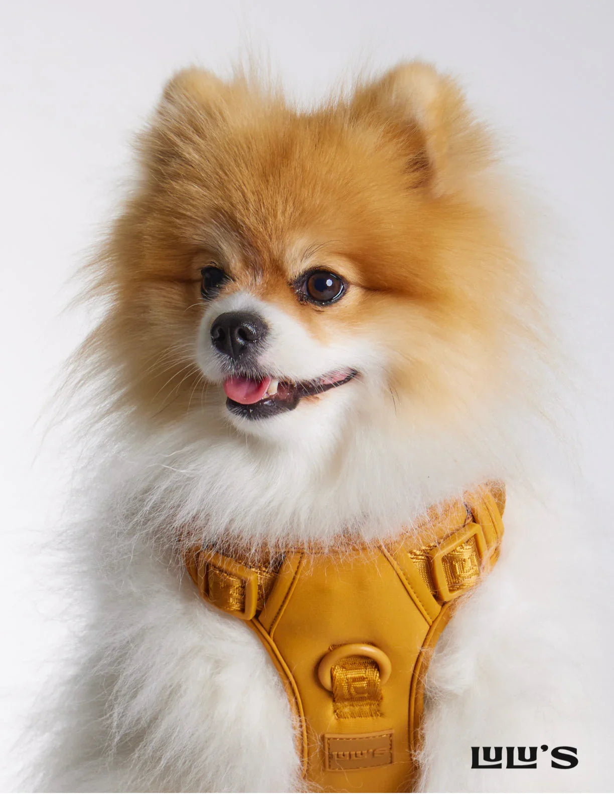Harness Style