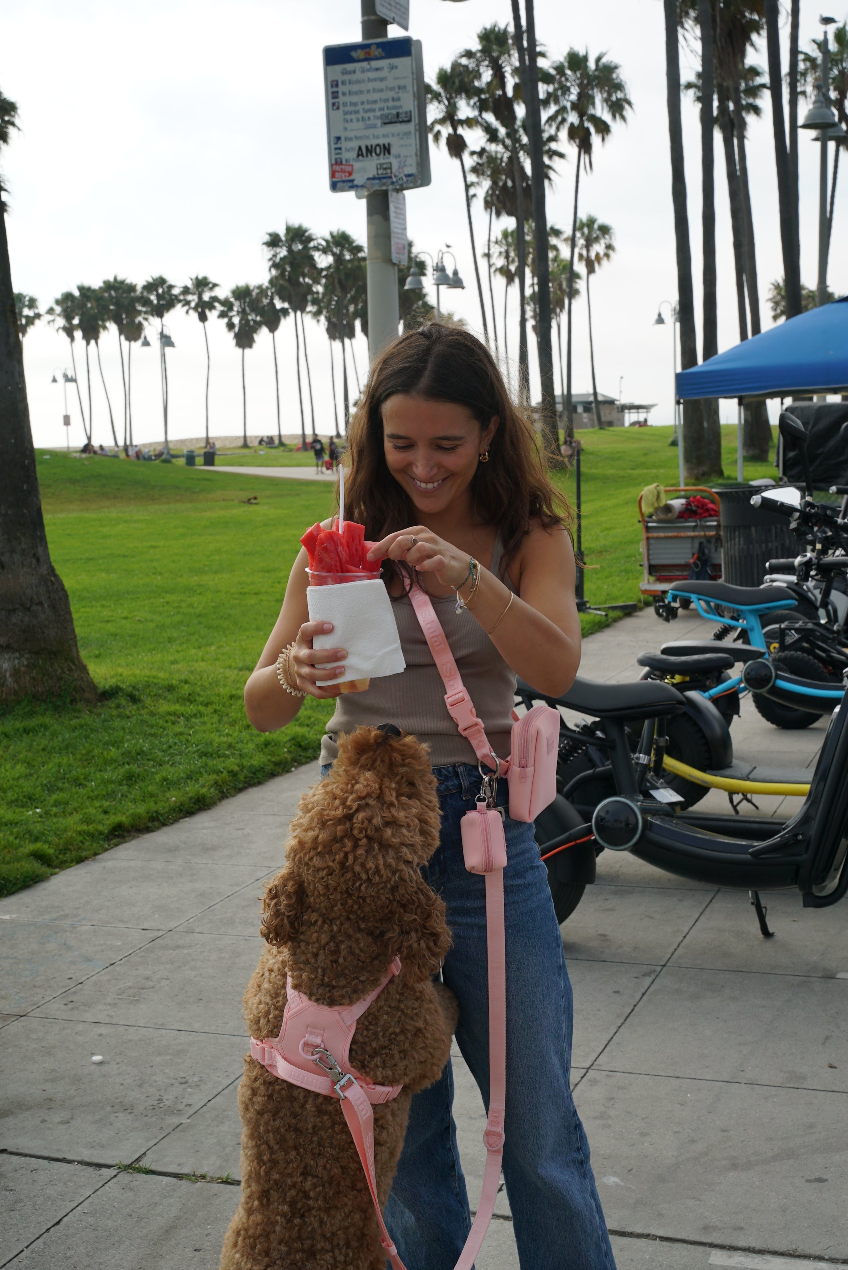a woman standing on a sidewalk in a park, holding a cup of watermelon slices. She is smiling and looking down at her fluffy, curly-coated dog, which is standing on its hind legs to reach the watermelon. The dog is wearing a Blush Pink harness and leash from Lulu's brand. The woman is dressed in blue jeans, a gray tank top, and a matching Blush Pink bag. In the background, there are palm trees, a green lawn, and rental scooters, creating a casual and lively atmosphere.