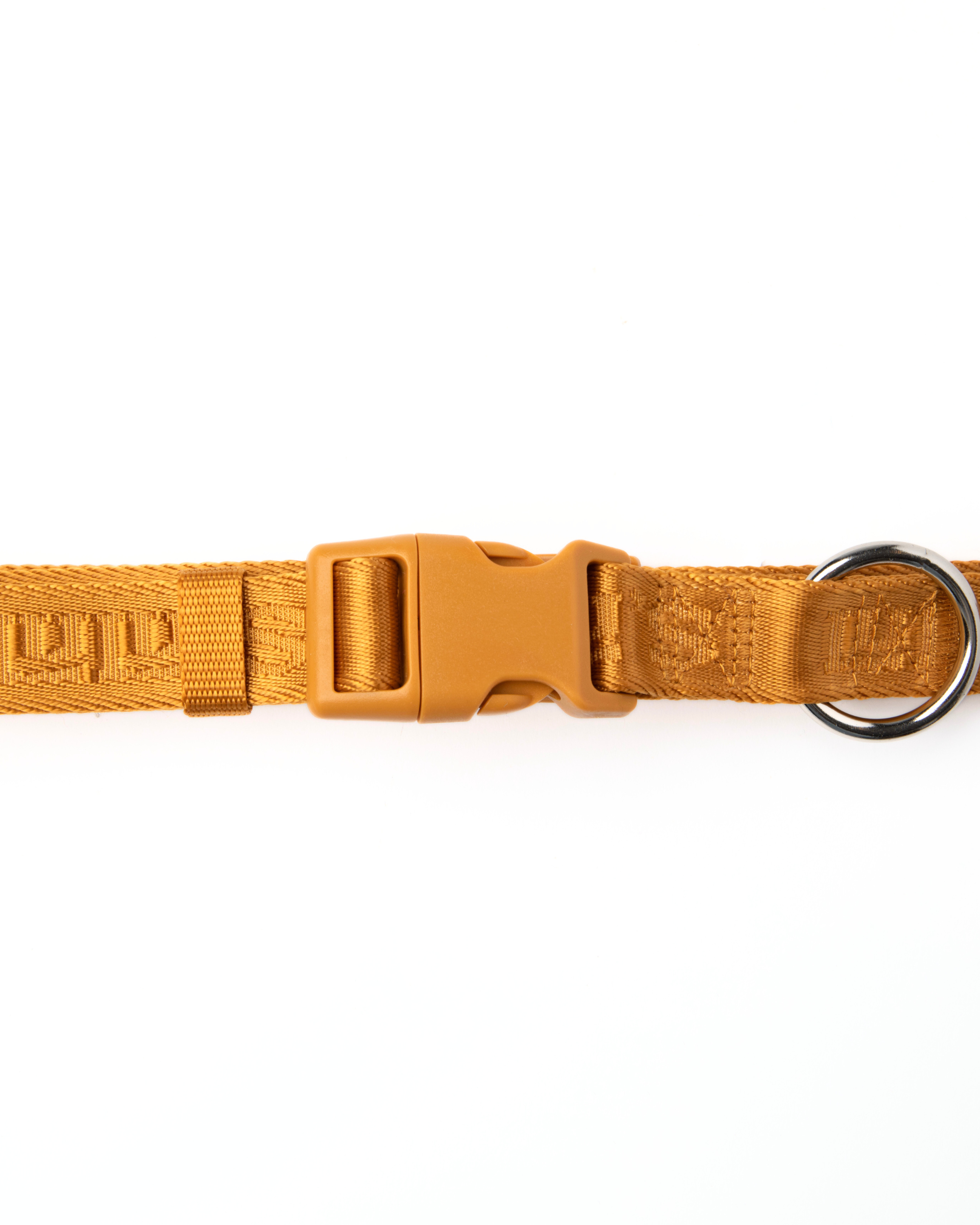 Belt.