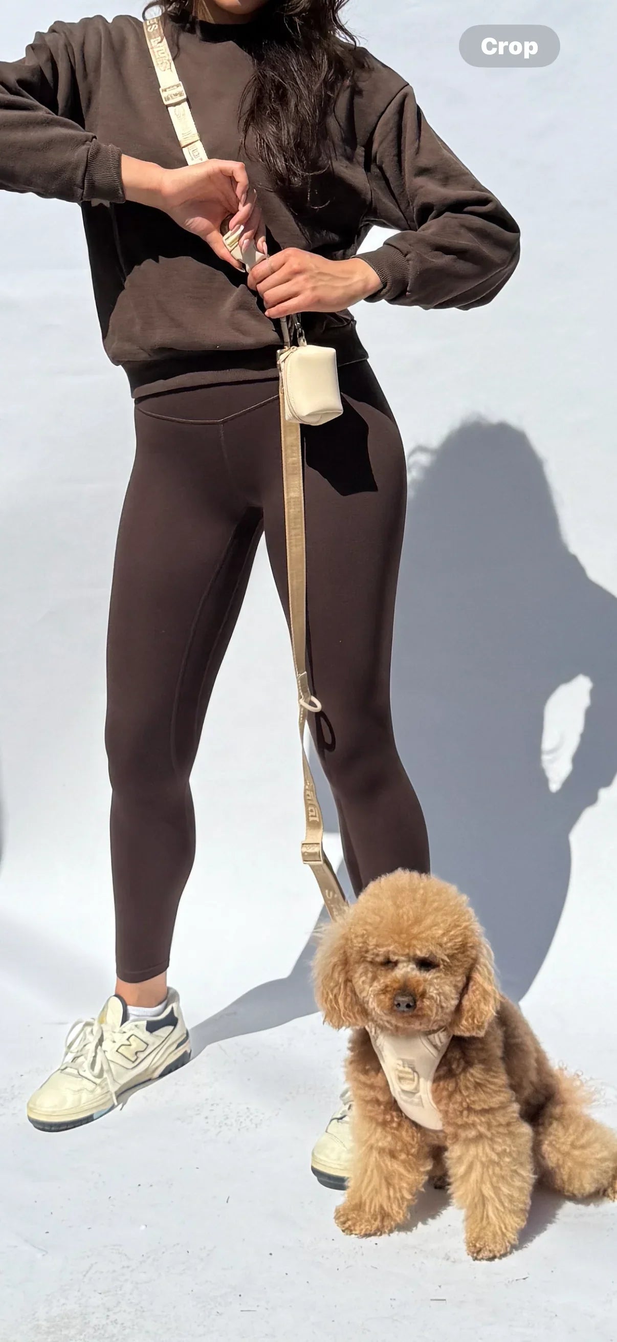 hands-free belt & leash set - Choose Thick or Thin