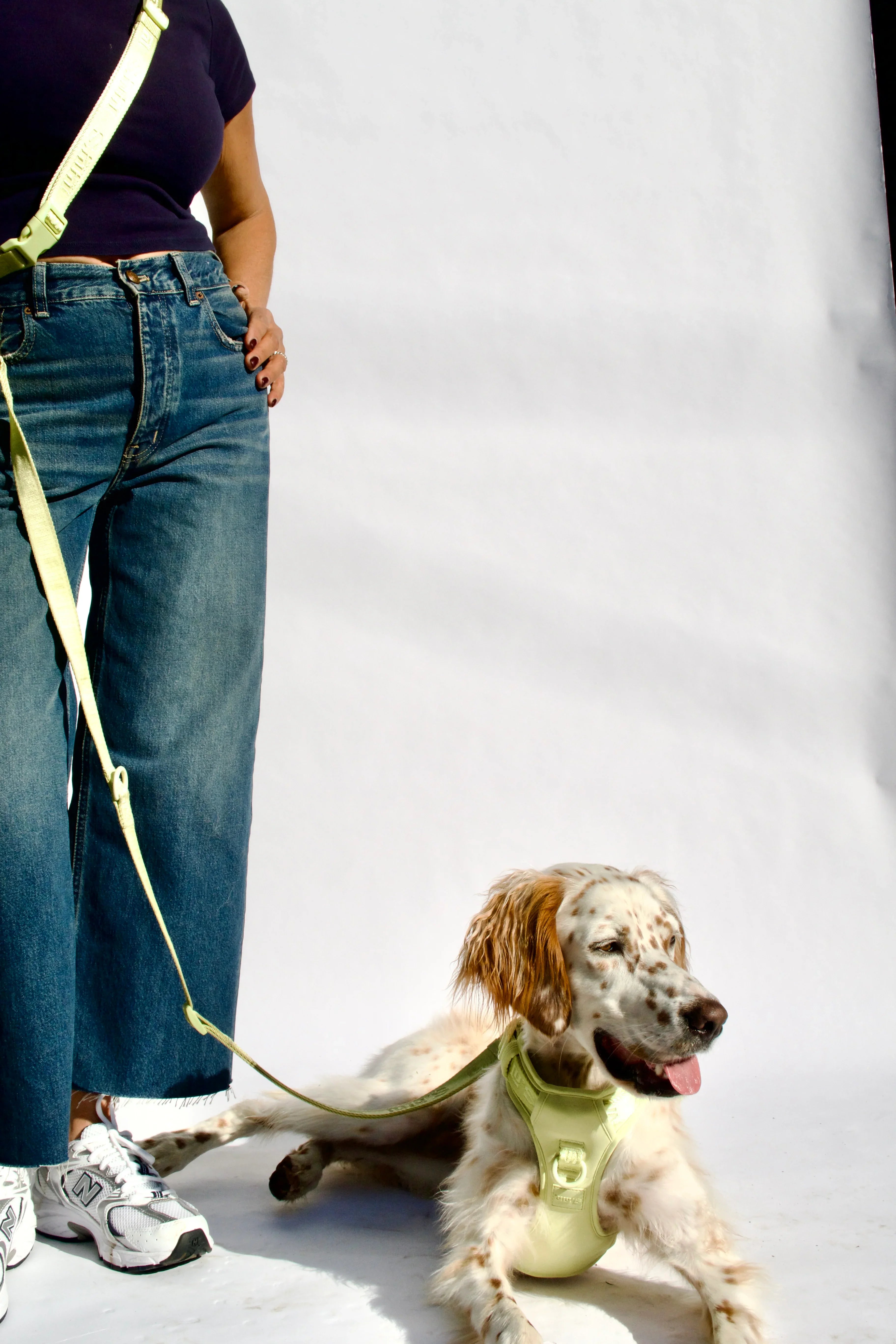 hands-free belt & leash set - Choose Thick or Thin