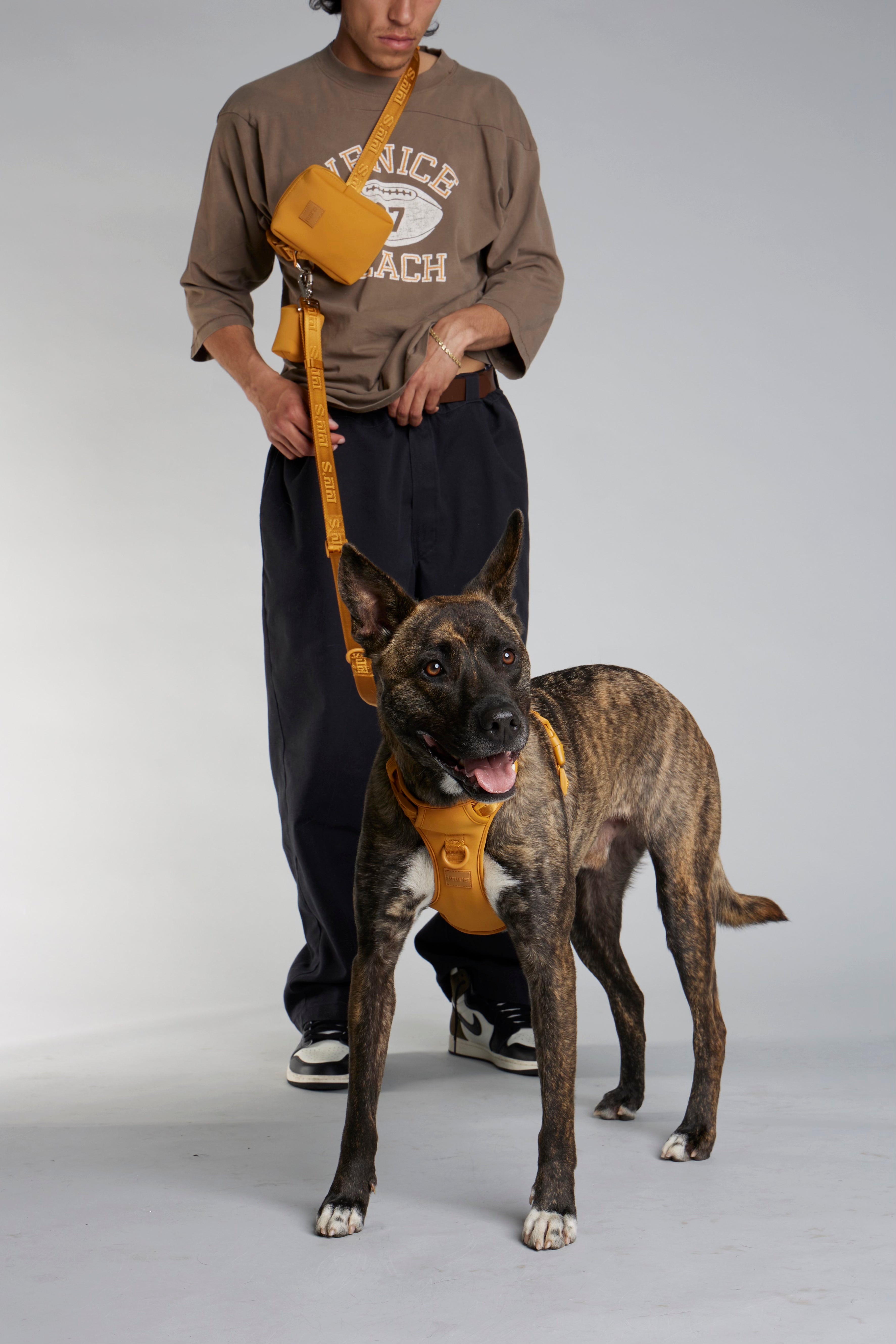 hands-free walking bundle – vertical pouch edition (thick leash).