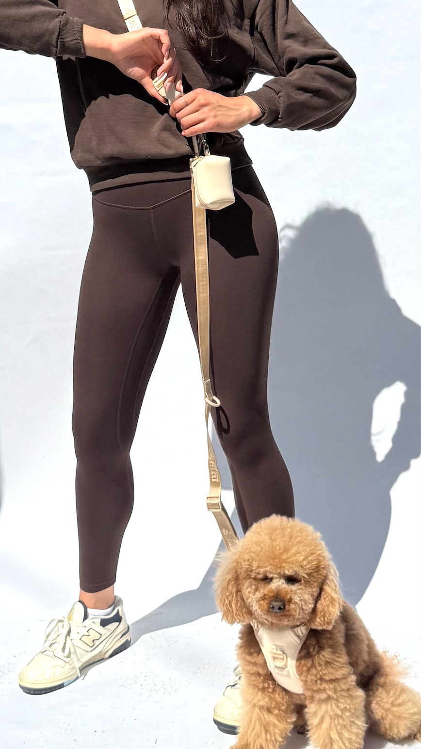 The Belt – Thin / Thick