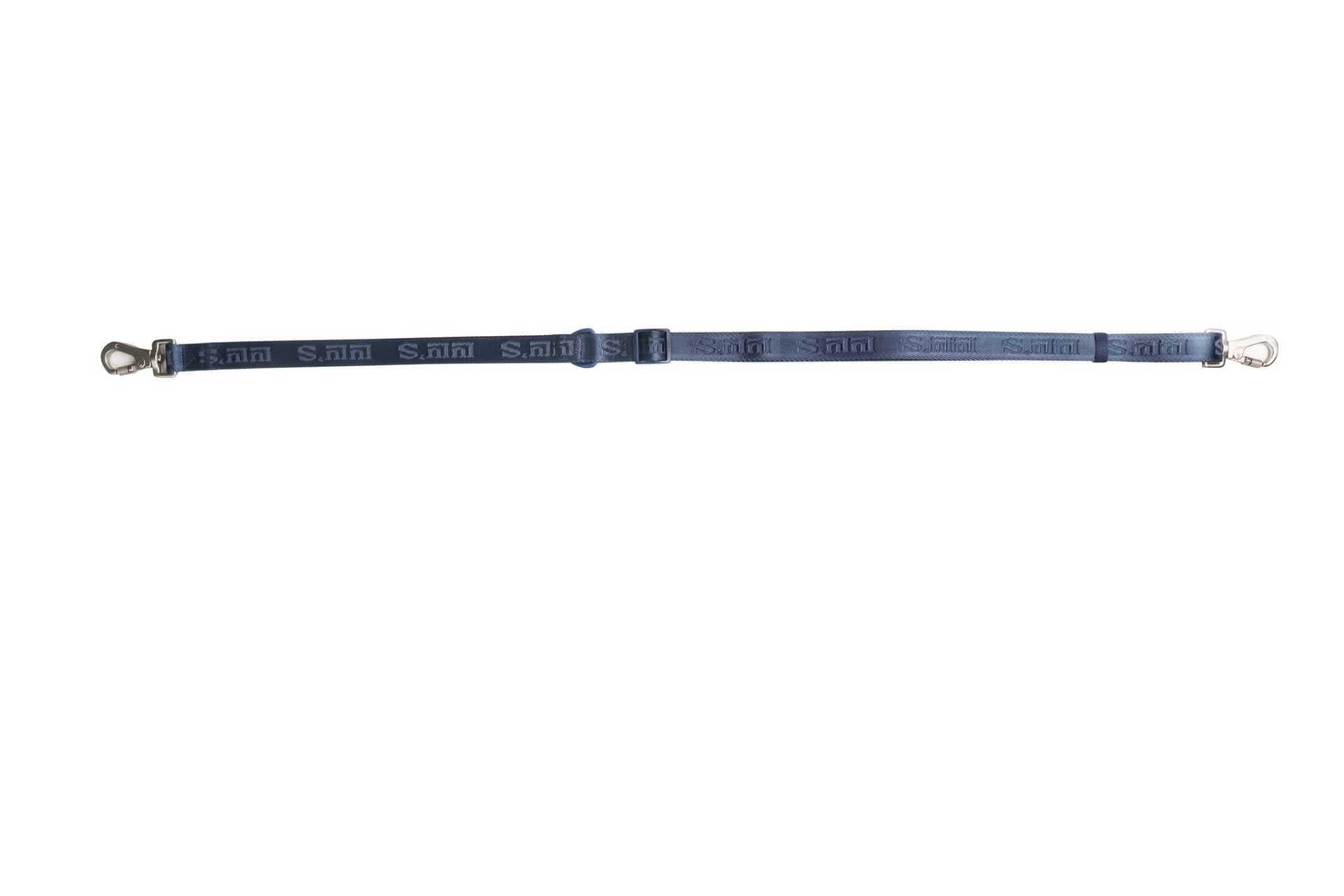 dog leash