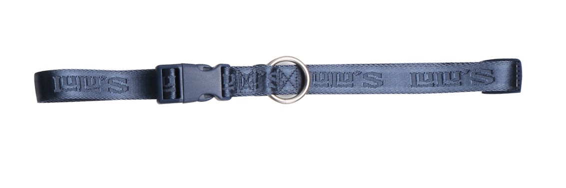 Belt and Leash set