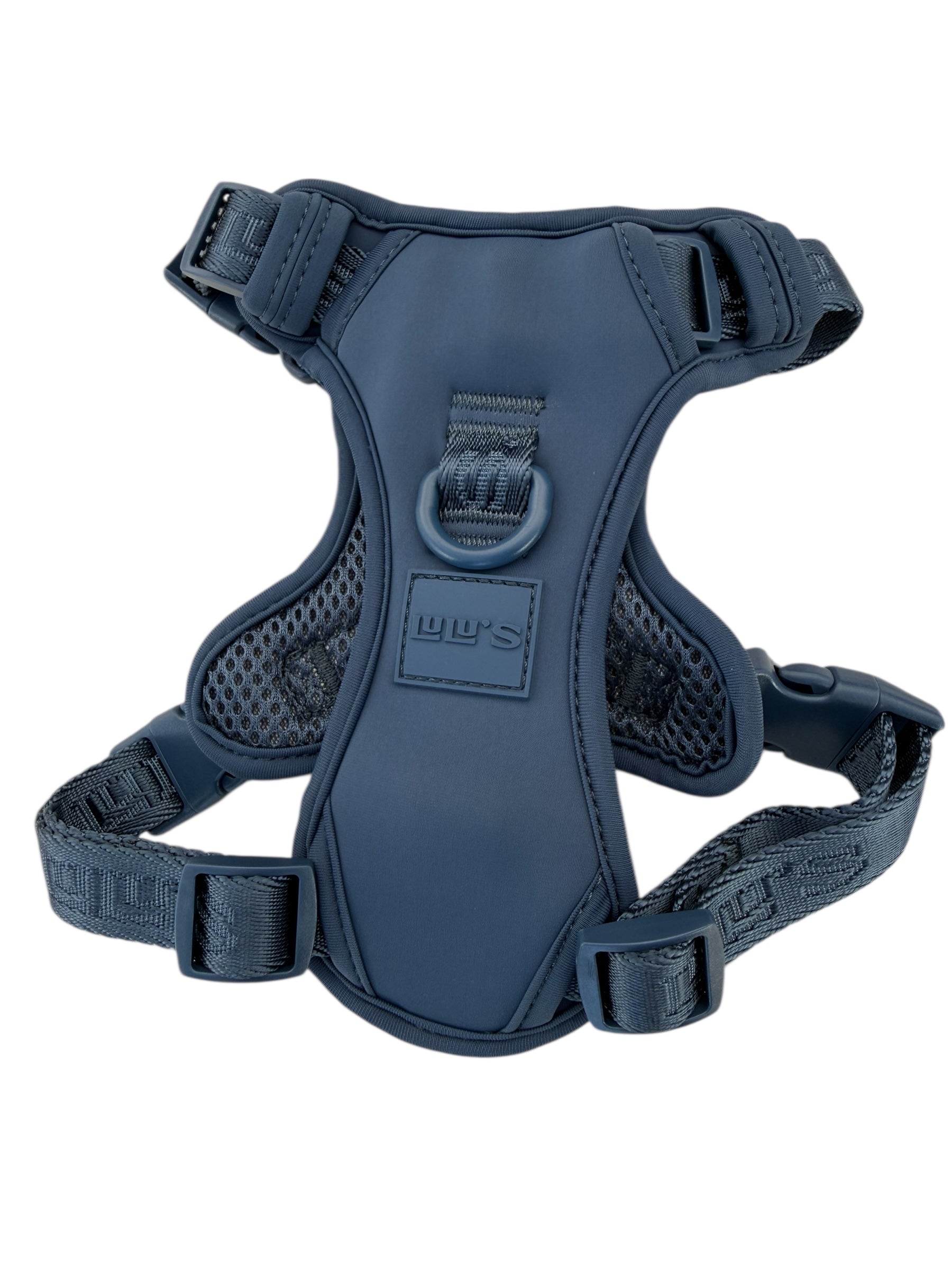 Back view of a Blueberry Blue dog harness, showcasing its adjustable straps, breathable mesh design, and secure D-ring for leash attachment.