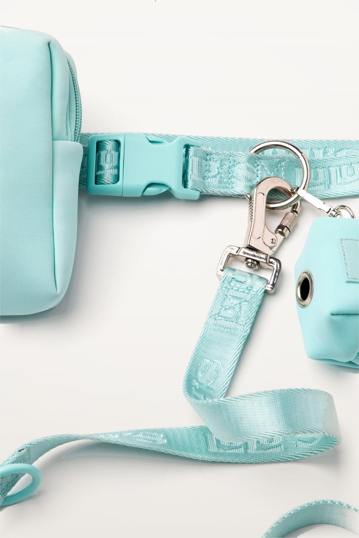 Close-up of a Cali Blue Lulu's from Cali belt with pouch, leash clip and waste bag holder