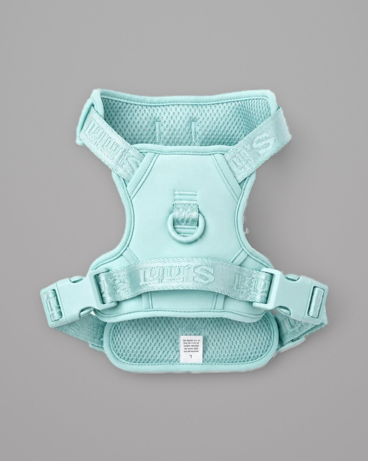 Cali Blue LULU’S from Cali adjustable dog harness, back view on a grey studio background
