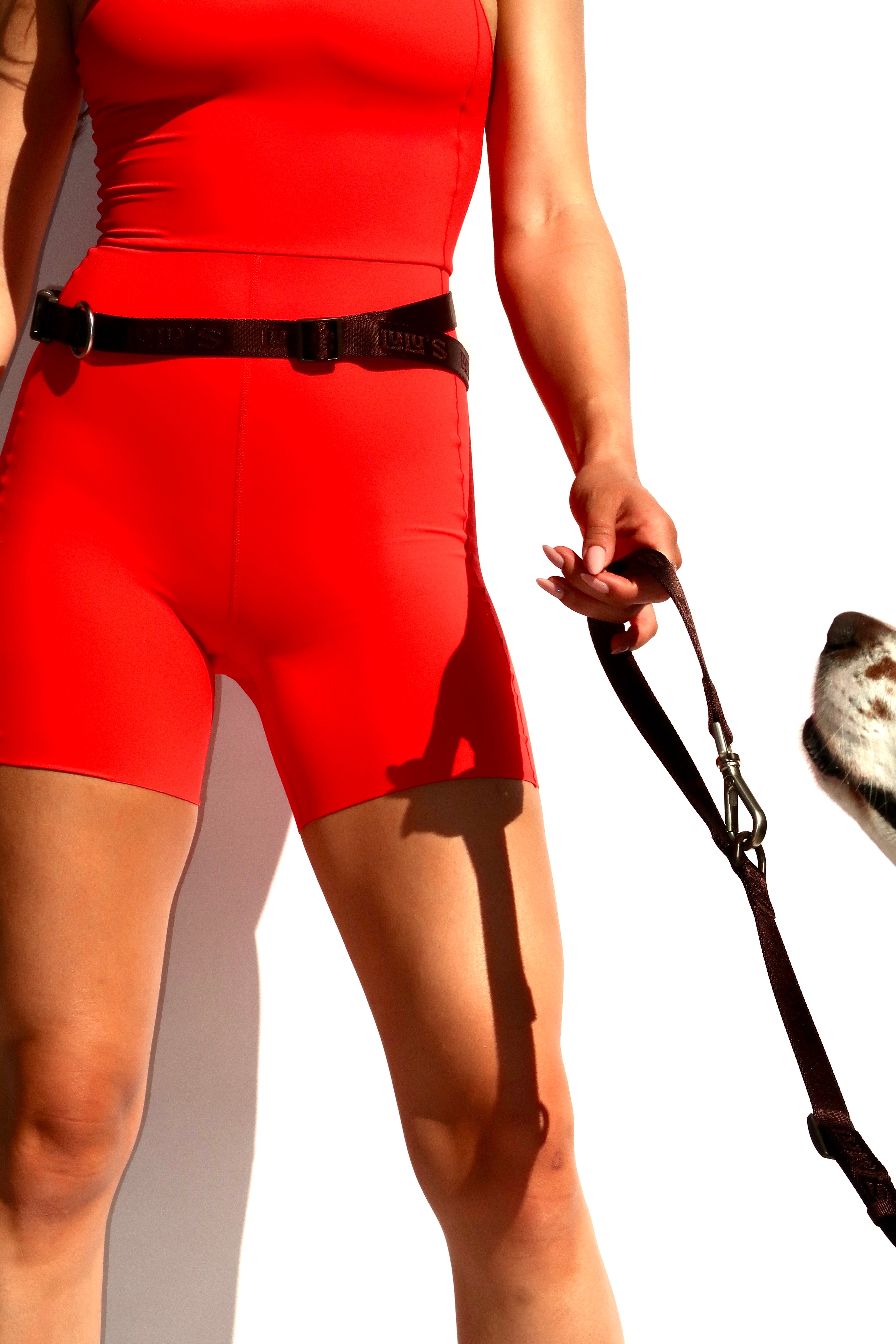 Person wearing a Lulu’s from Cali Espresso Brown hands-free dog leash around the waist while walking a dog.
