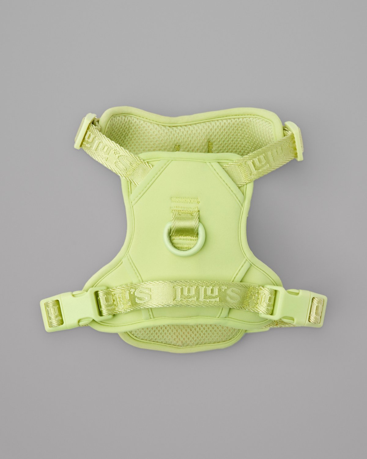 Matcha Green LULU’S from Cali adjustable dog harness, back view on a grey studio background