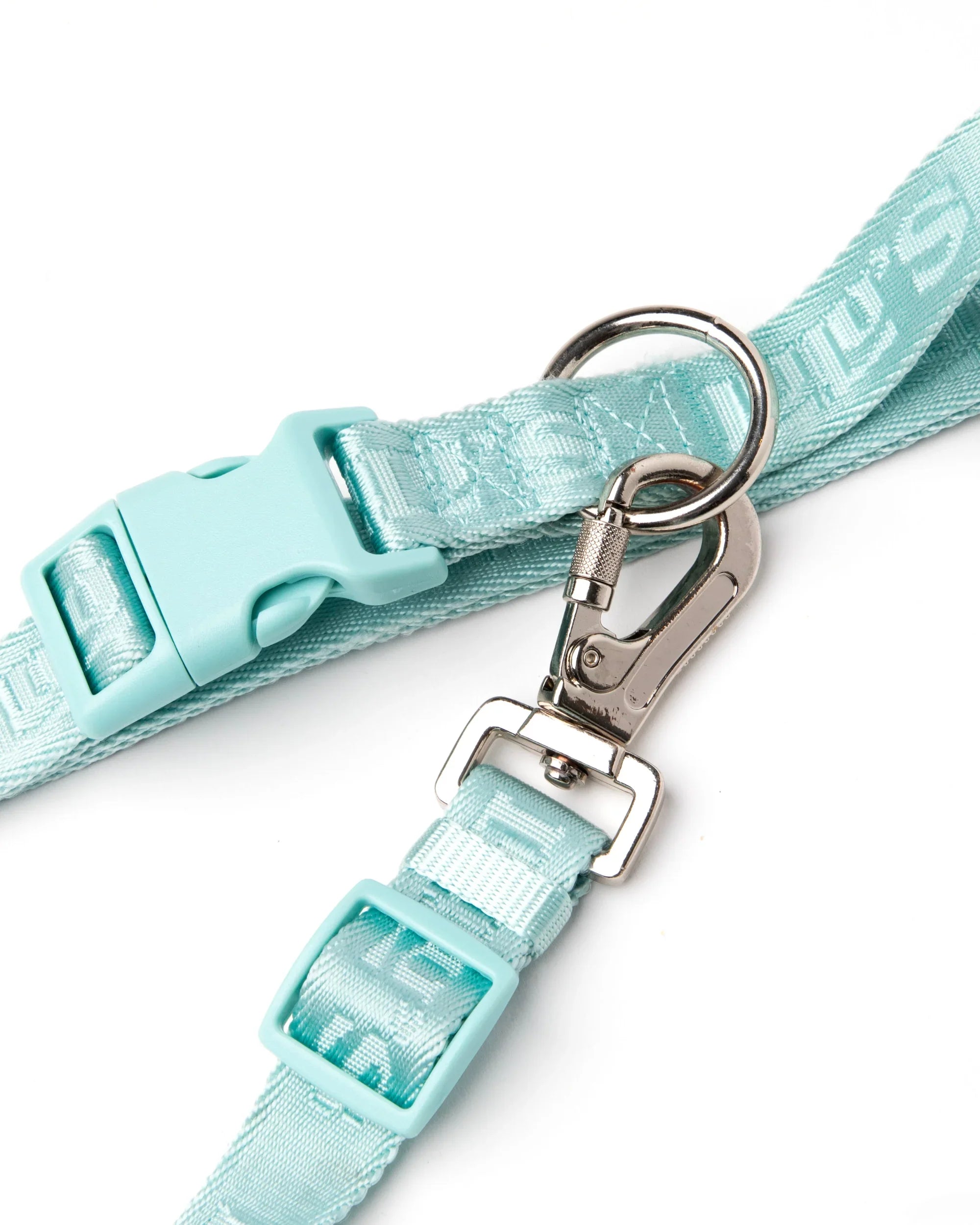 hands-free pet belt & leash.