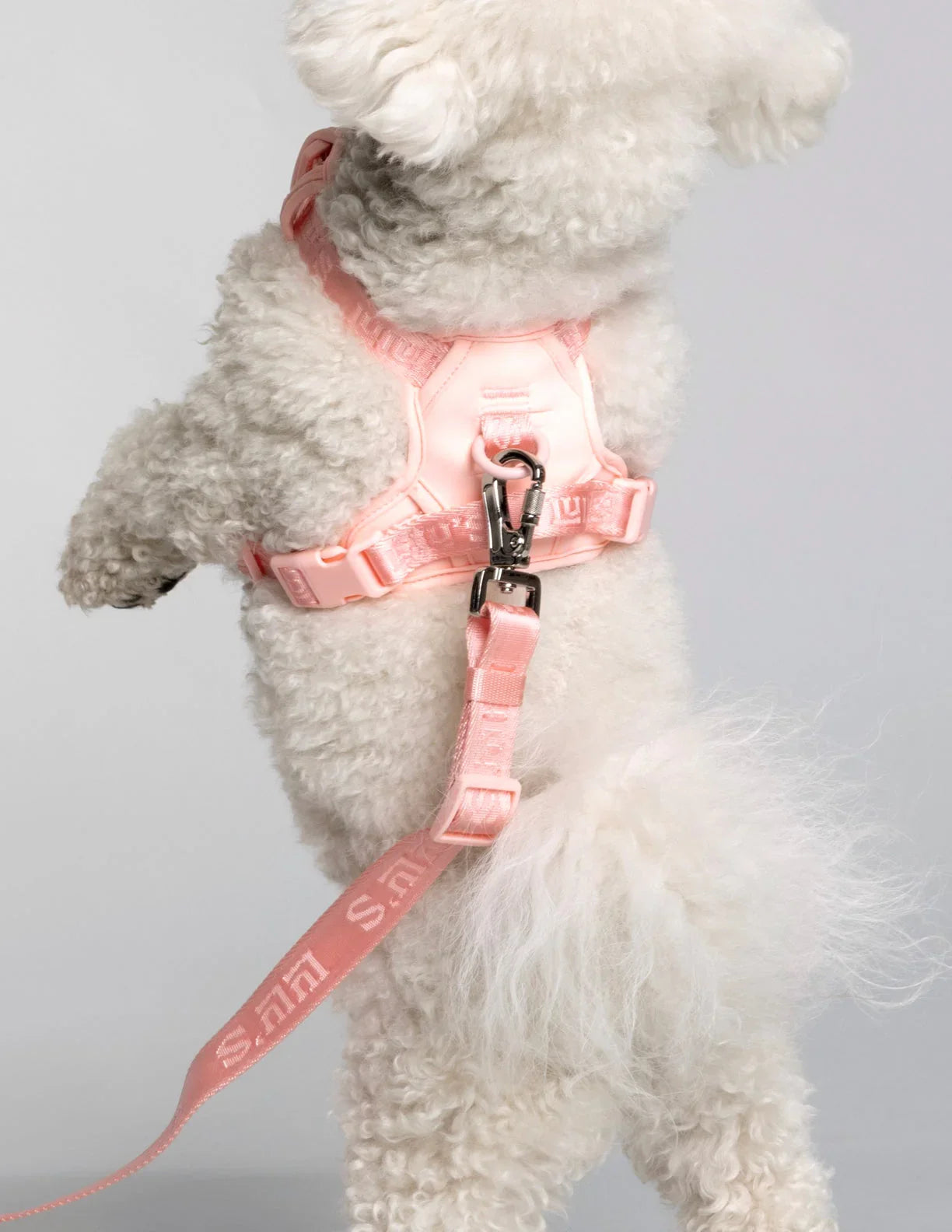 Blush Pink