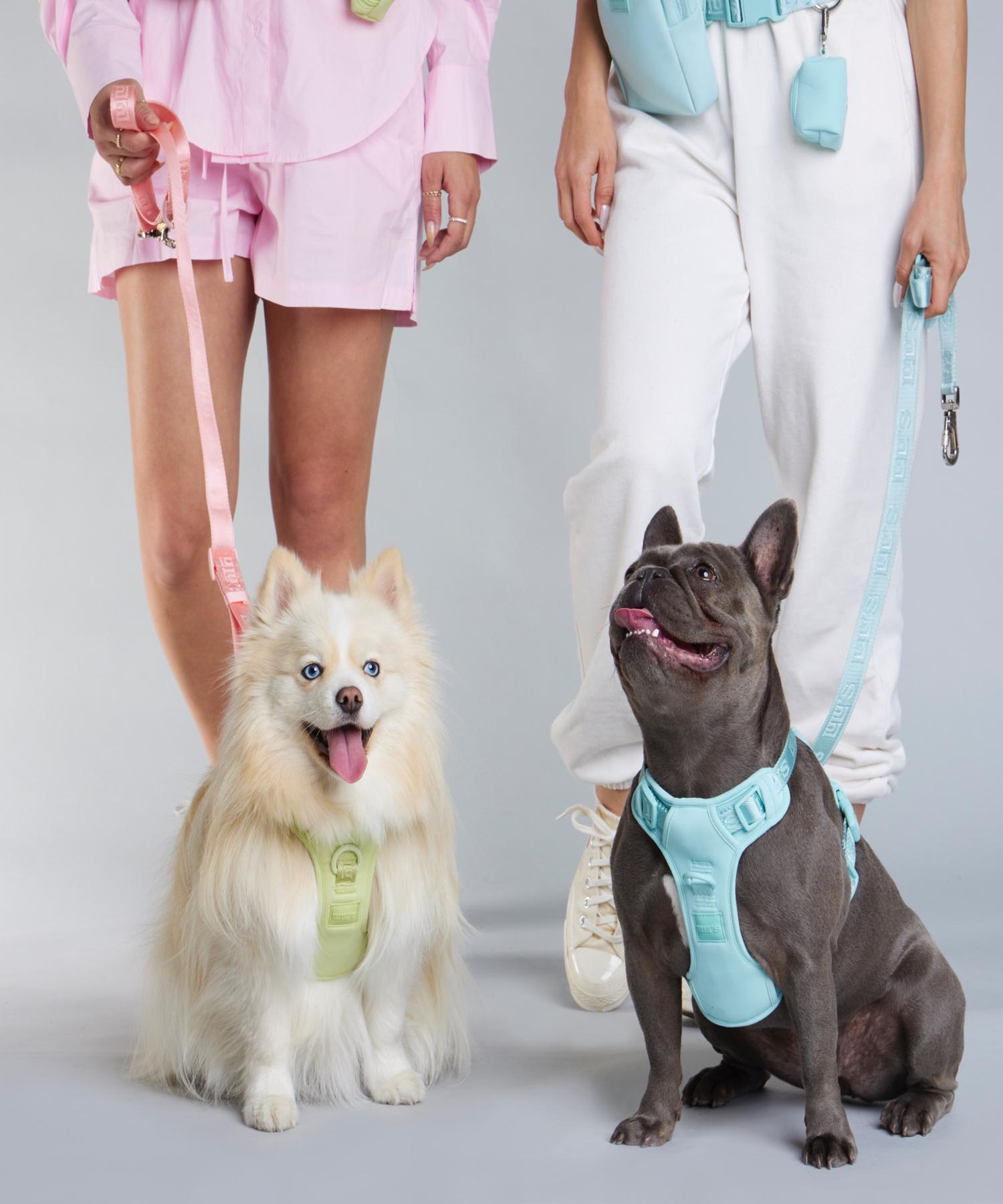Dog Harness