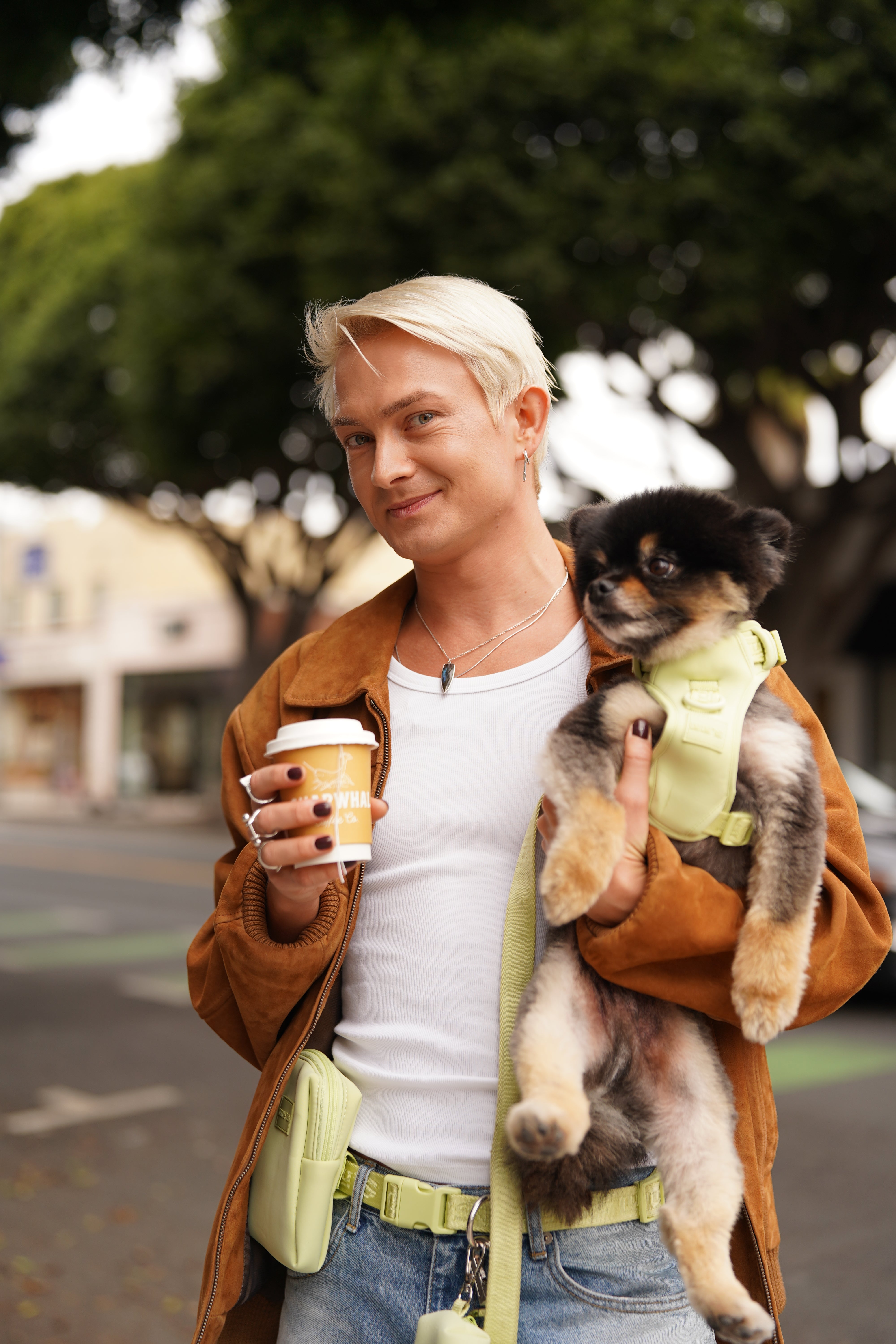 Dog and Cat Harness