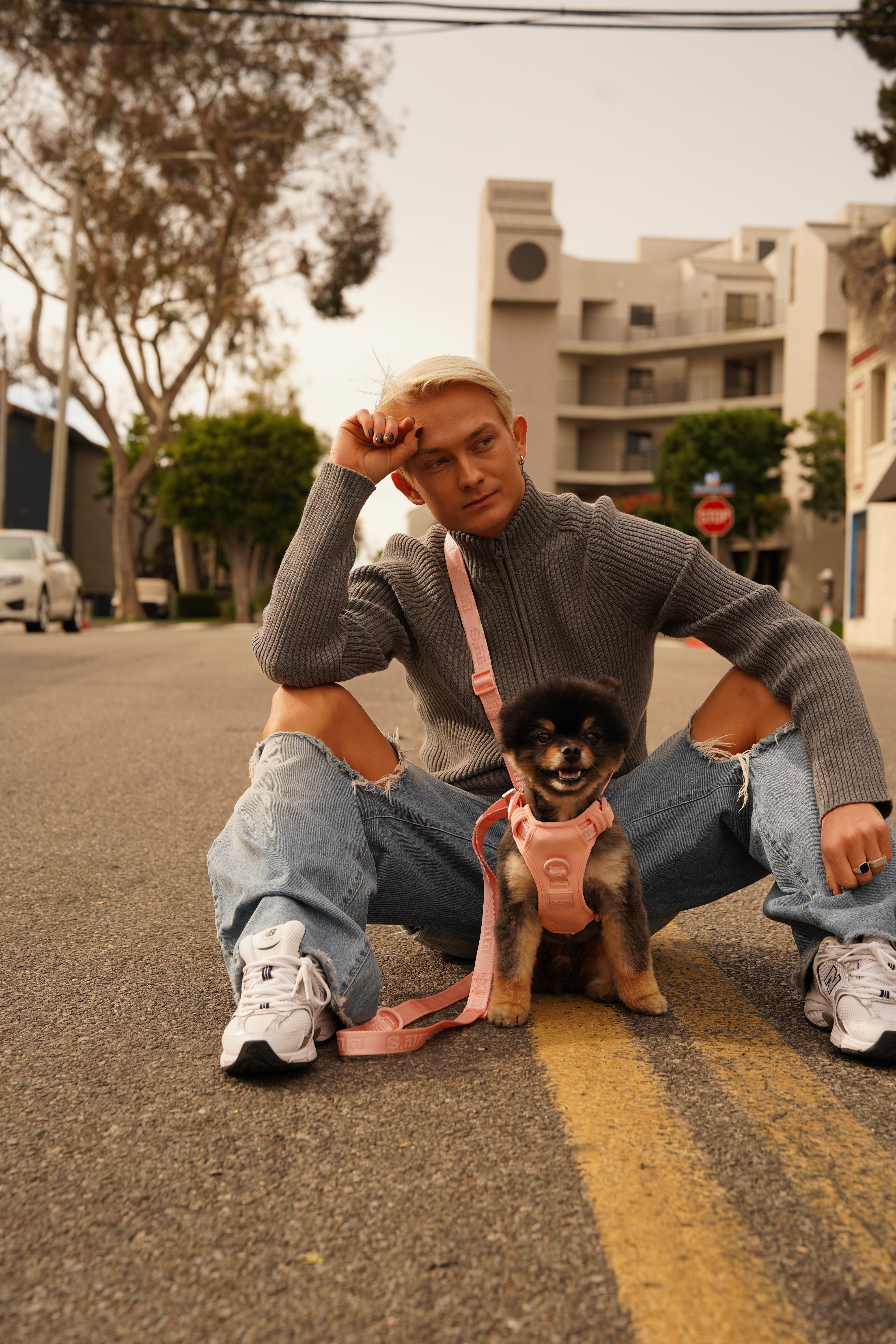 Person sitting on a quiet street wearing a gray sweater and ripped blue jeans, accompanied by a small fluffy dog wearing Lulu's from Cali hands-free leash and harness set in the color blush pink. The relaxed urban setting features trees and modern buildings in the background, creating a calm and stylish vibe.