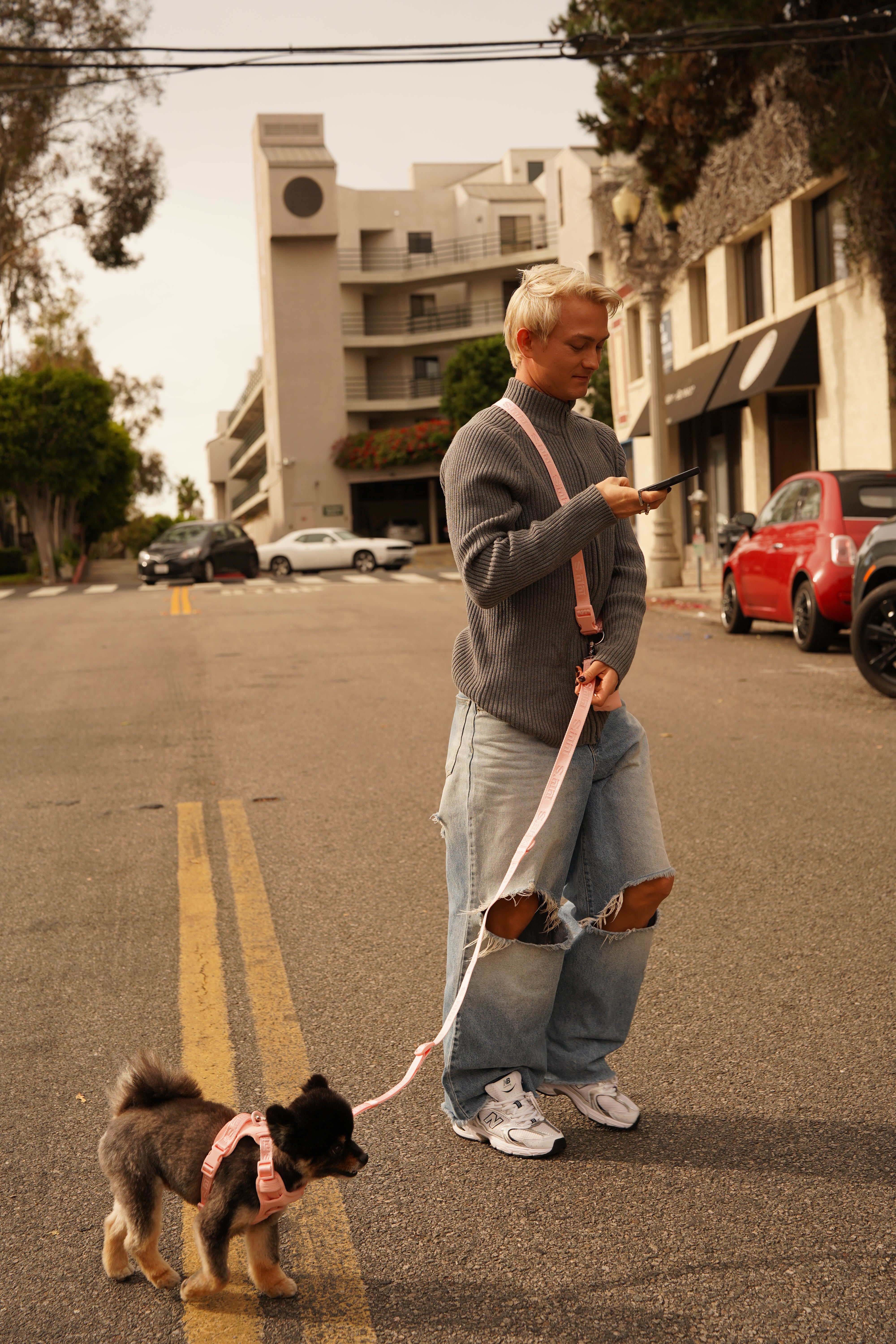 Hands-free dog leash + Belt