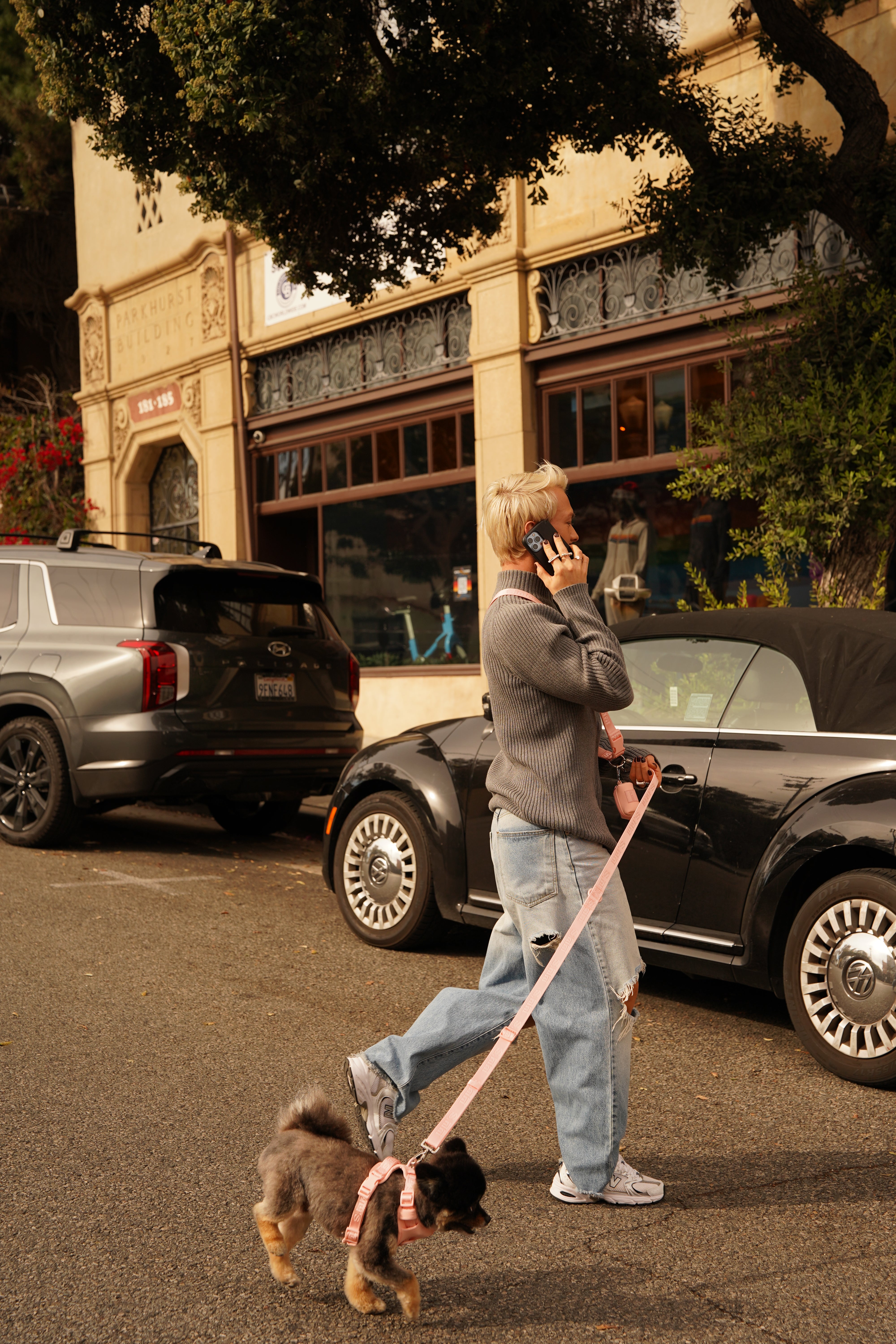 Hands-free dog leash + Belt