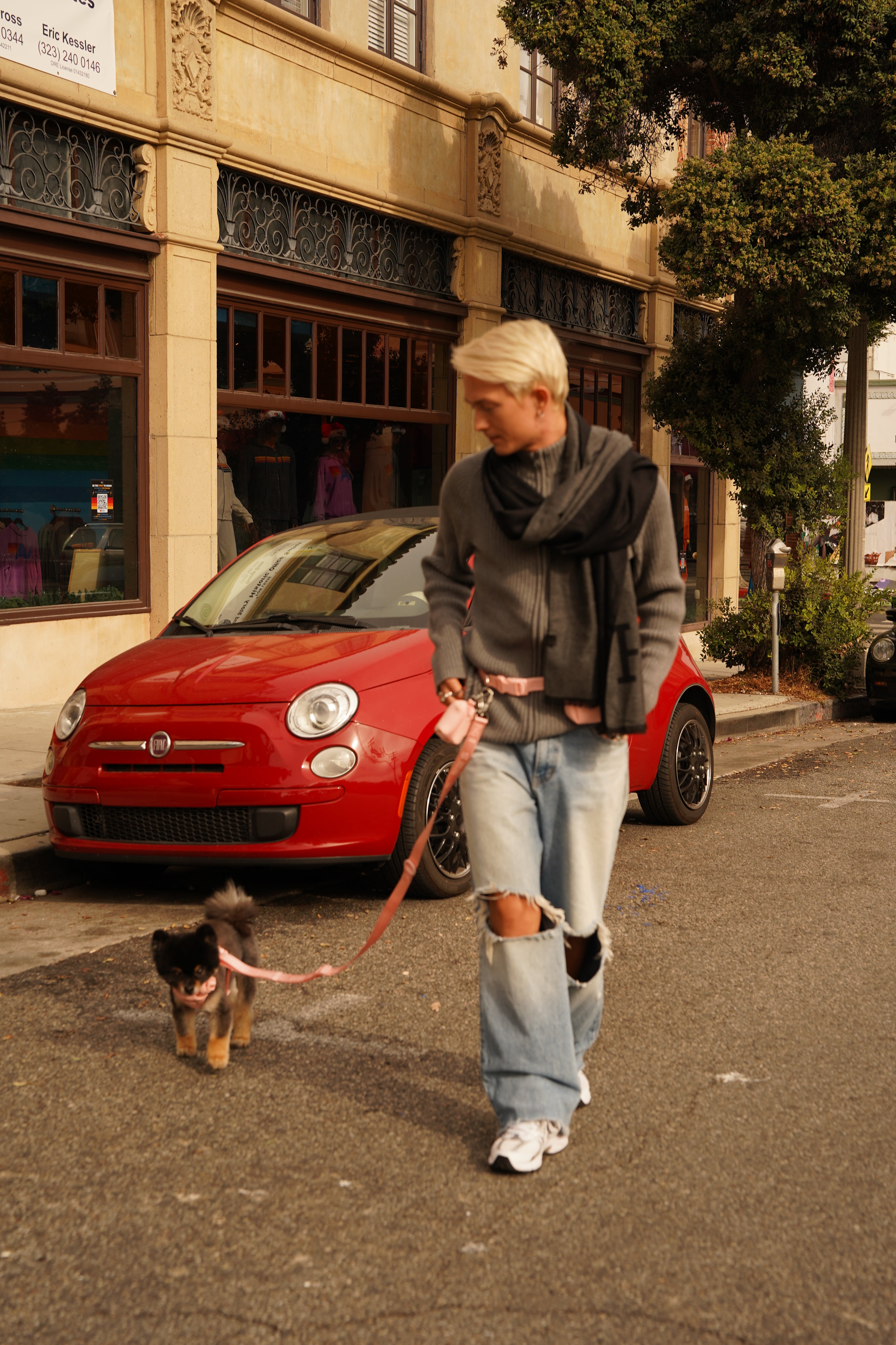 Hands-free dog leash + Belt