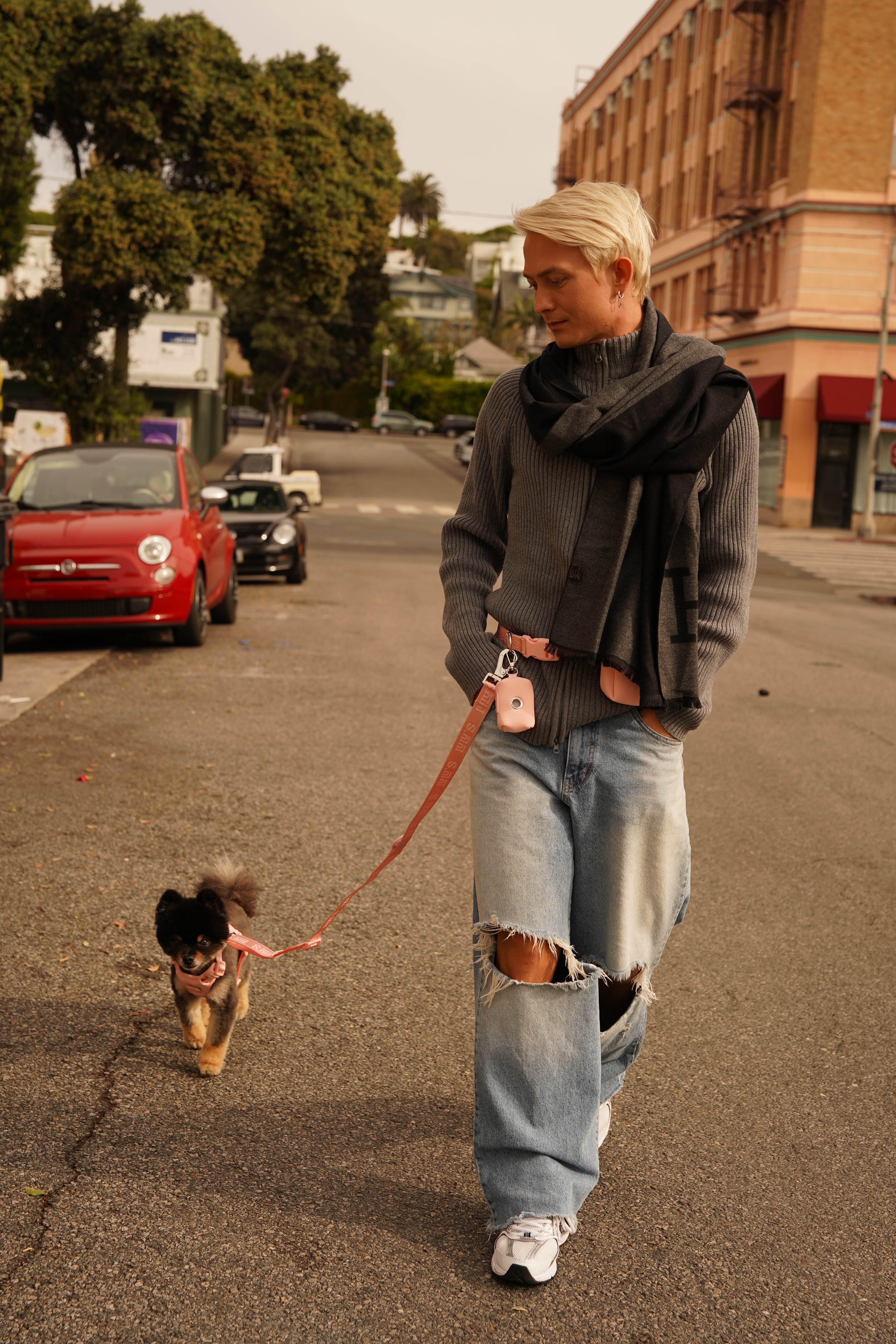 Hands-free dog leash + Belt