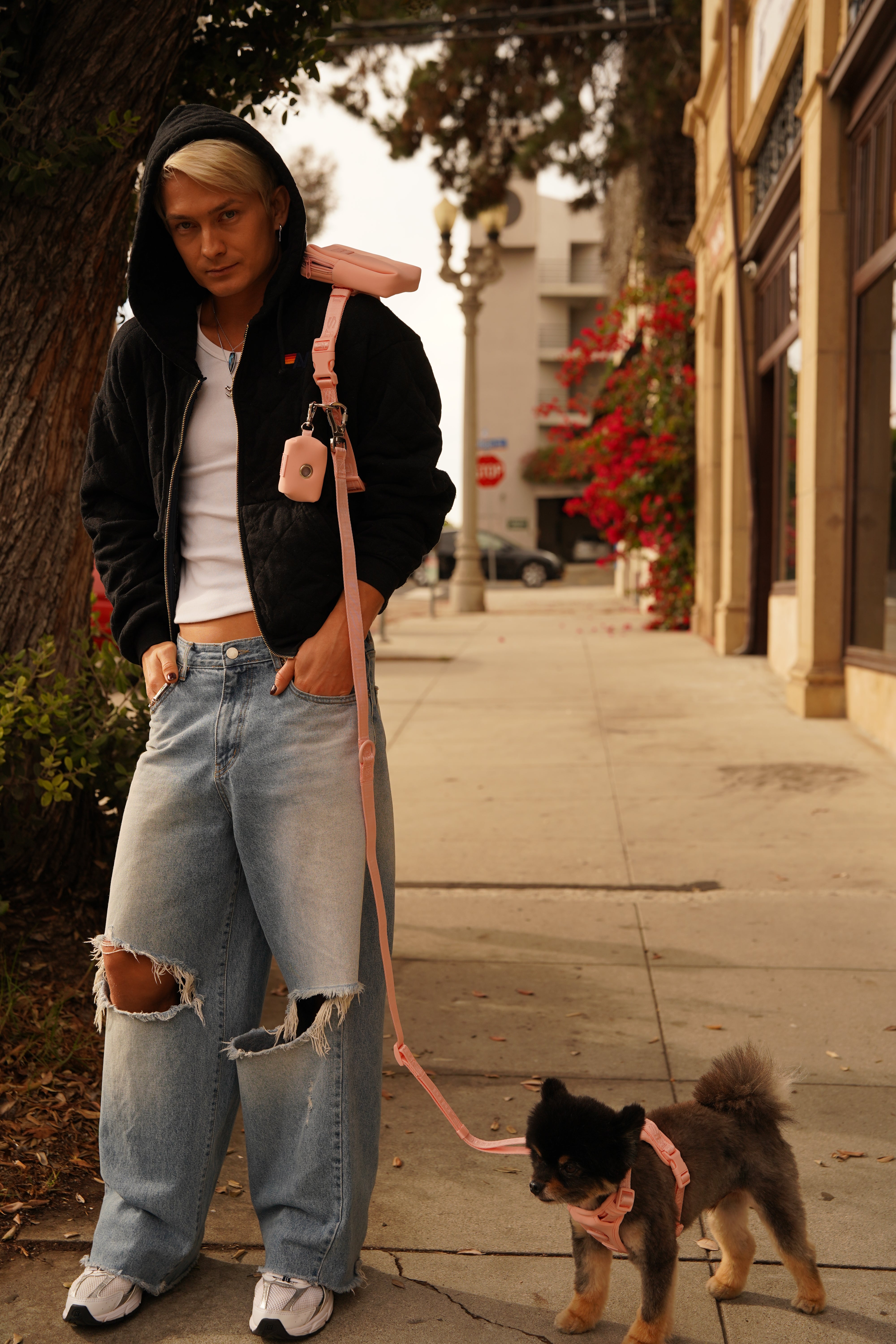 Hands-free dog leash + Belt