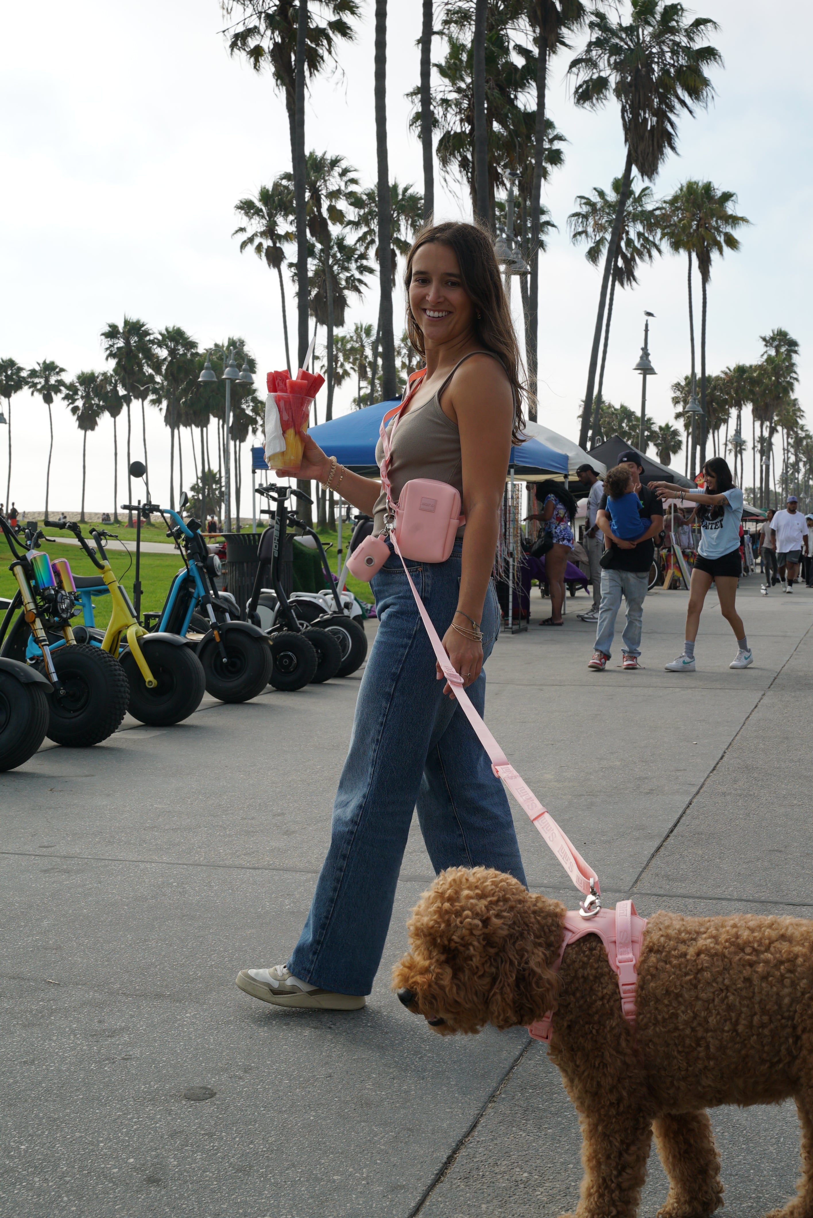 woman walking on a sidewalk in a park, holding a cup of watermelon slices. She is wearing blue jeans, a gray tank top, and a Blush Pink crossbody bag from Lulu's brand. Her fluffy, curly-coated dog, also wearing a Blush Pink harness and leash, walks beside her. The background features palm trees, rental scooters, and people enjoying the park, creating a vibrant and lively atmosphere