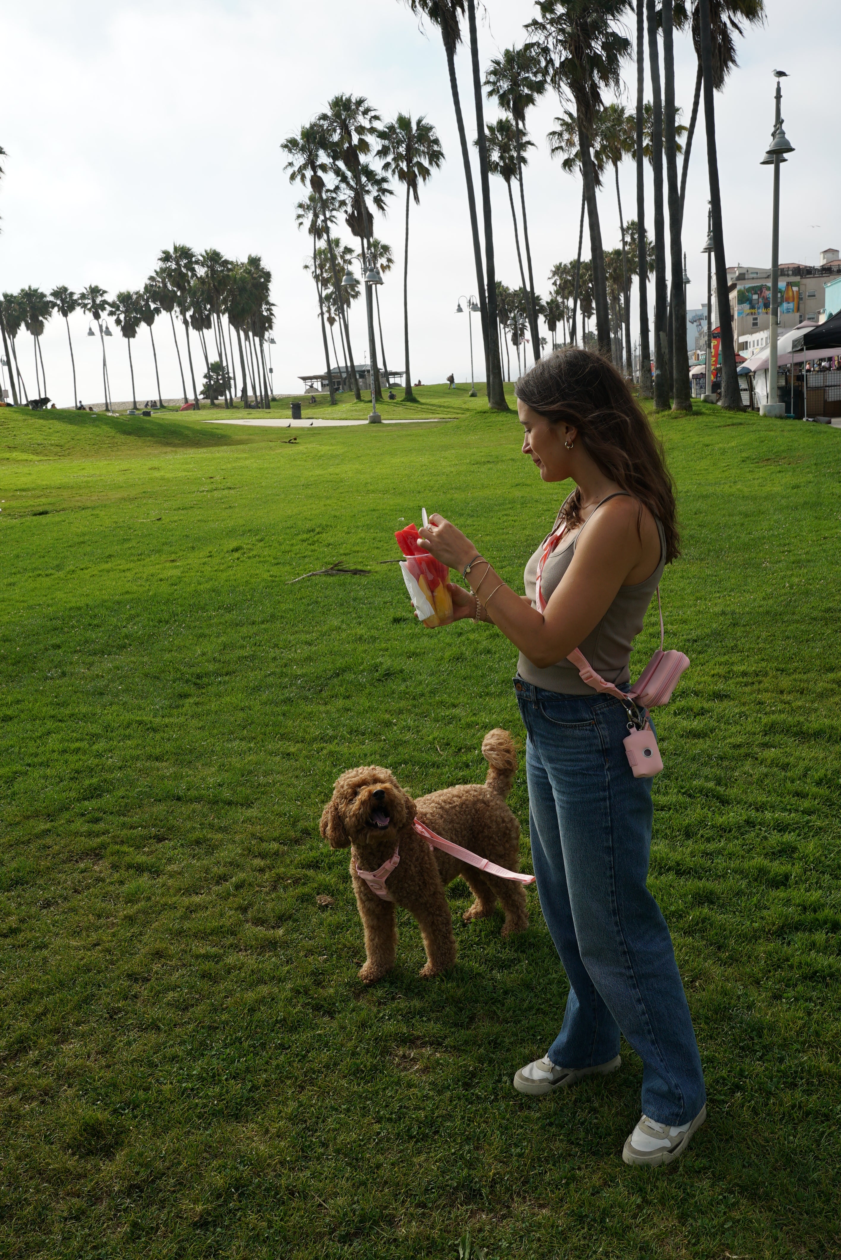  a woman standing in a grassy park, holding a cup of watermelon slices. She is wearing blue jeans, a gray tank top, and a Blush Pink crossbody bag from Lulu's brand. Her fluffy, curly-coated dog, wearing a matching Blush Pink harness and leash, stands next to her, looking up happily. The background features tall palm trees and an open green space, creating a serene and relaxed atmosphere