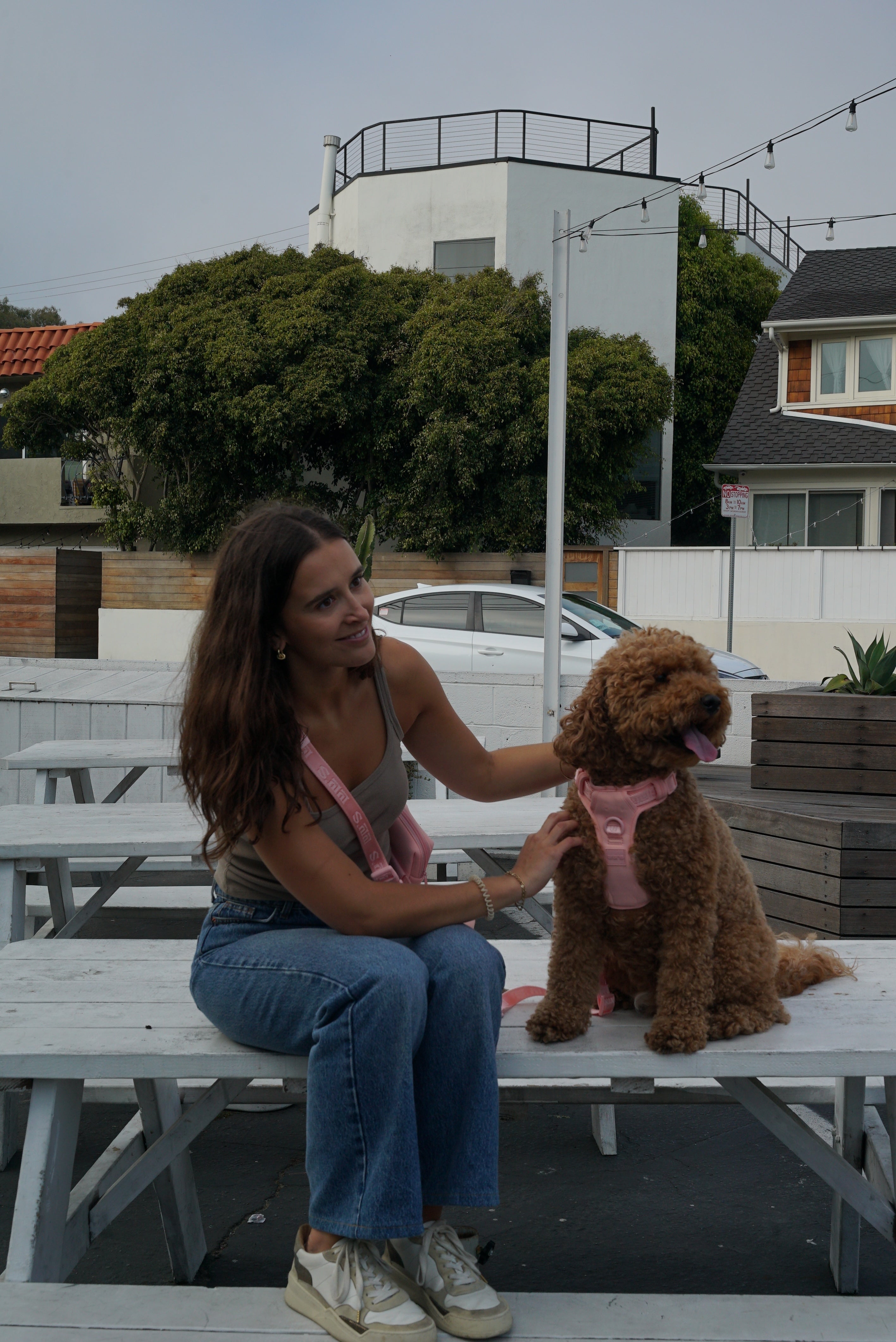 a woman sitting on a white picnic table next to a fluffy, curly-coated dog wearing a Blush Pink harness and leash from Lulu's brand. The woman, dressed in blue jeans, white sneakers, and a gray tank top, is smiling and petting the dog. The dog is sitting on the bench, facing right with its tongue out, appearing happy and content. In the background are buildings, a white car, trees, and string lights, creating a casual and relaxed outdoor setting.