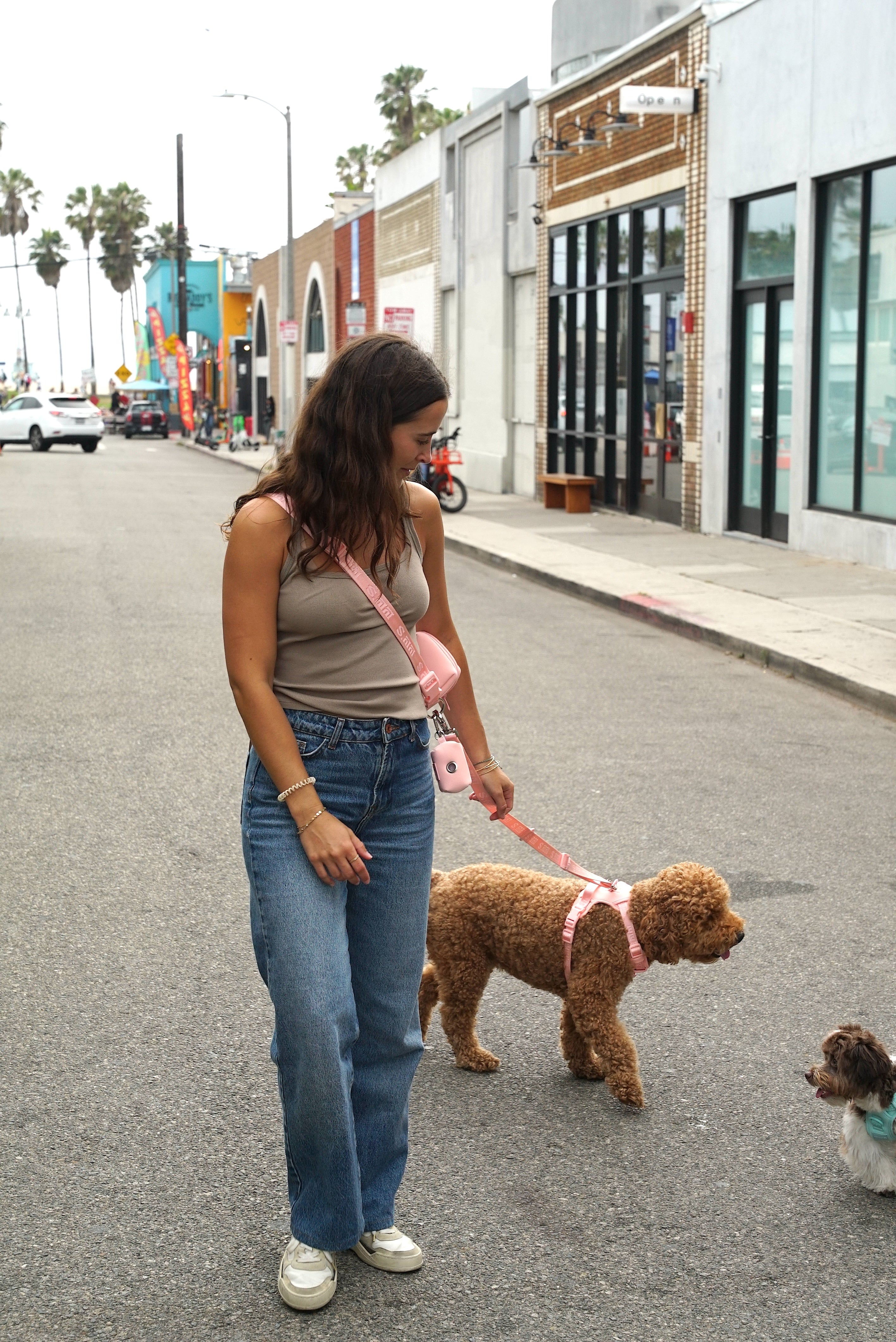 A person walks along a lively street, wearing Lulu's hands-free leash set in Blush Pink. The leash is worn cross-body, with a matching pouch attached, connecting to their curly-haired dog in a Blush Pink harness. The person looks down affectionately at their dog, who is facing a smaller dog nearby. The urban background, lined with colorful storefronts and palm trees, adds a vibrant atmosphere to the scene.