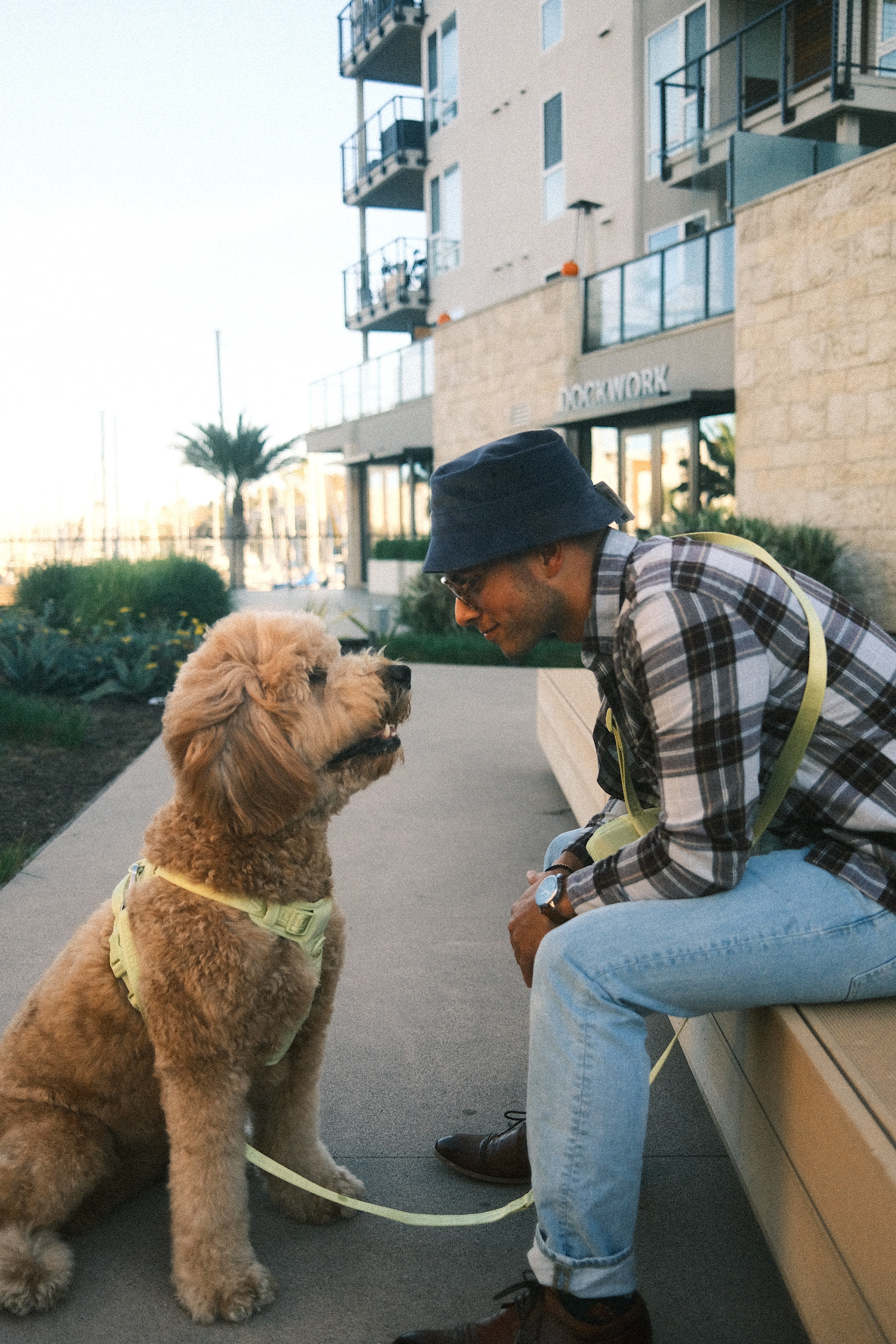 A person wearing a bucket hat and flannel shirt crouches down to make eye contact with their large, curly-haired dog, who is sitting attentively. The dog is outfitted in Lulu's hands-free leash set in Matcha green, matching the person’s cross-body leash strap. They share a moment of connection near a modern building and landscaped area, with a marina and palm trees visible in the background, creating a serene, urban atmosphere.