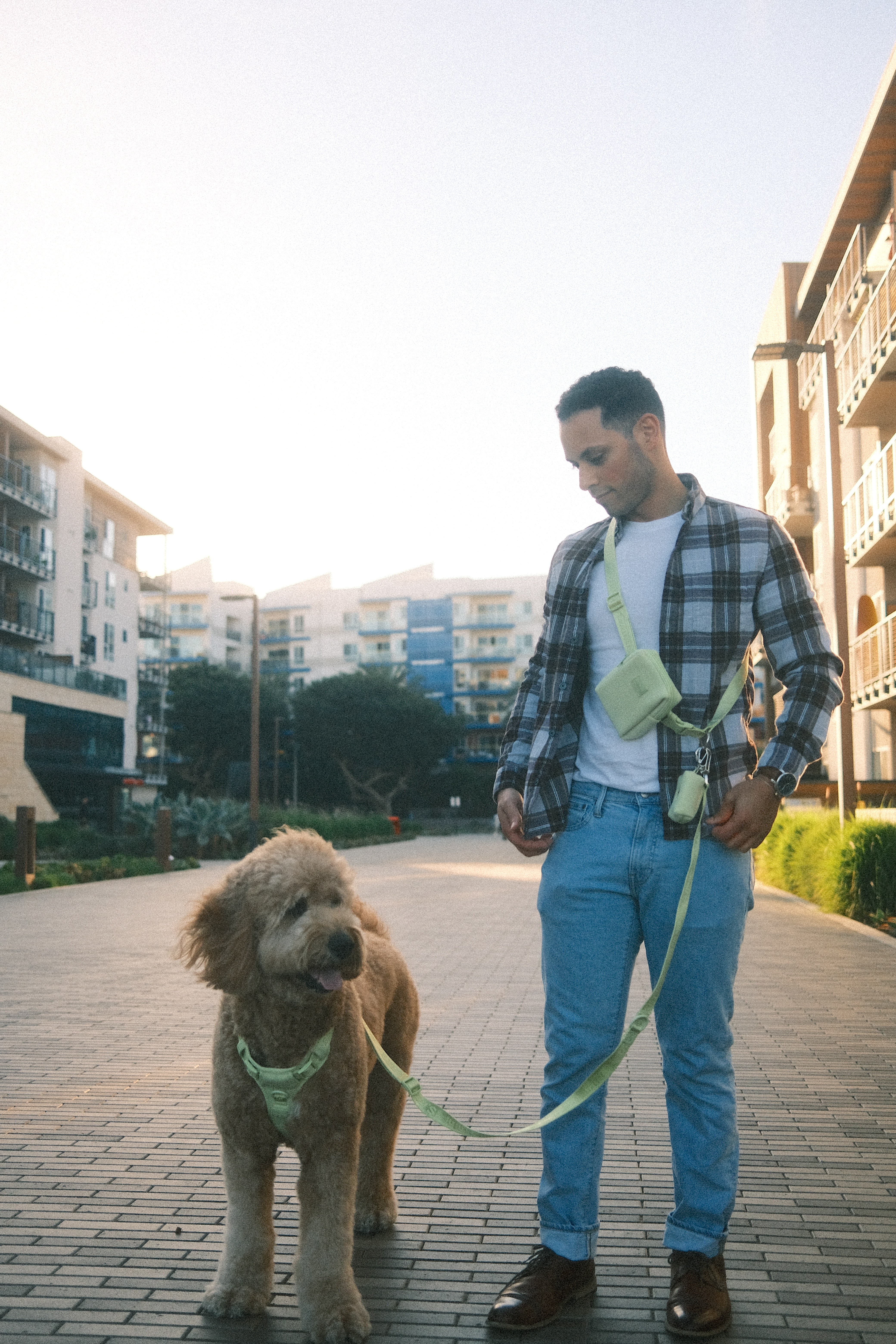 A person stands on a modern, paved pathway in an urban area, holding a large, curly-haired dog on a Lulu's hands-free leash set in Matcha green. The person wears a plaid shirt and jeans, with the leash strap worn cross-body, a matching pouch attached for convenience. The dog, also in a matching harness, looks content, and soft sunlight fills the scene, highlighting the calm, stylish setting.