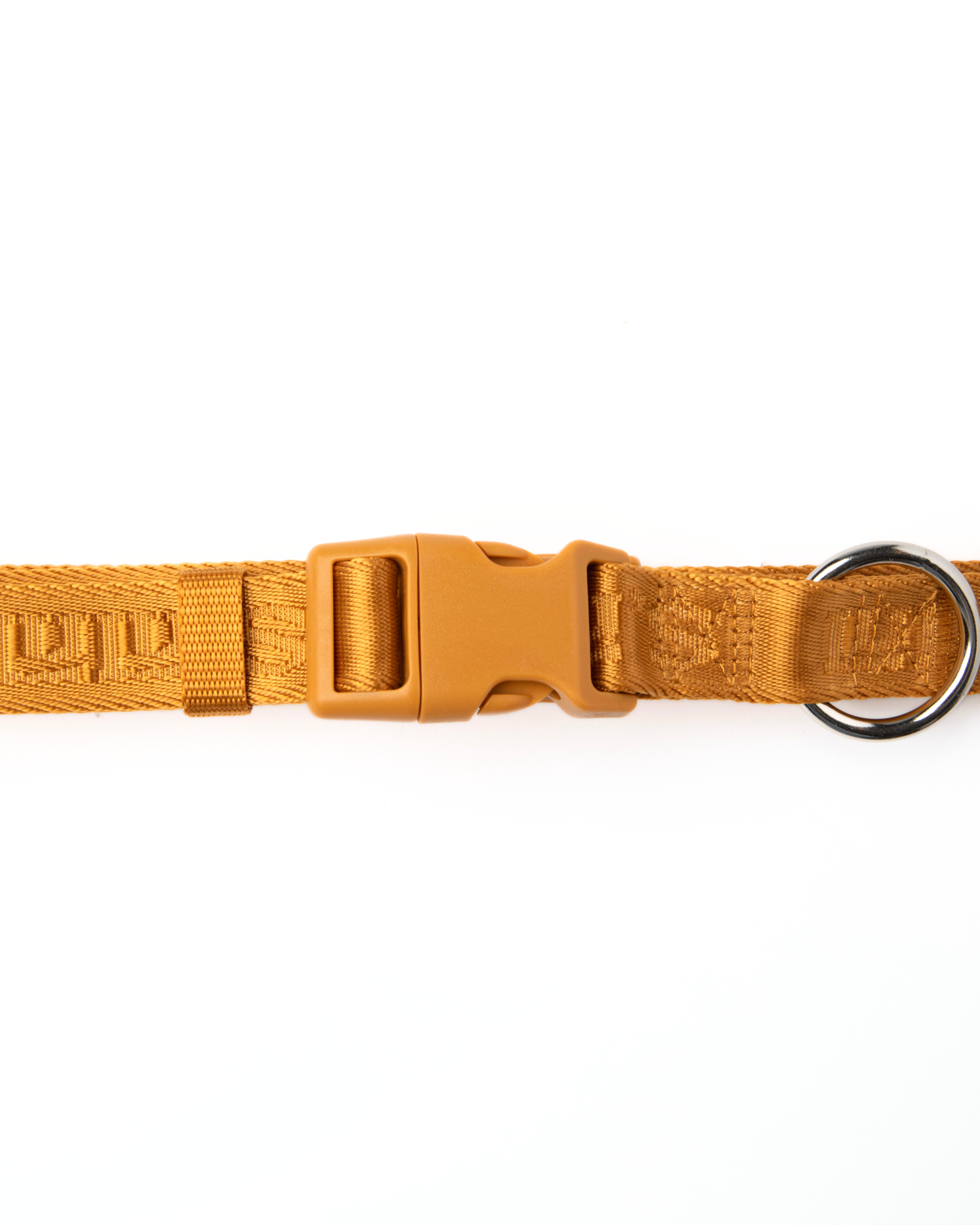 A close-up view of a Sand Orange Lulu's waist belt with a buckle and metal ring, designed for attaching a leash and poop bag holder, featuring a durable design.