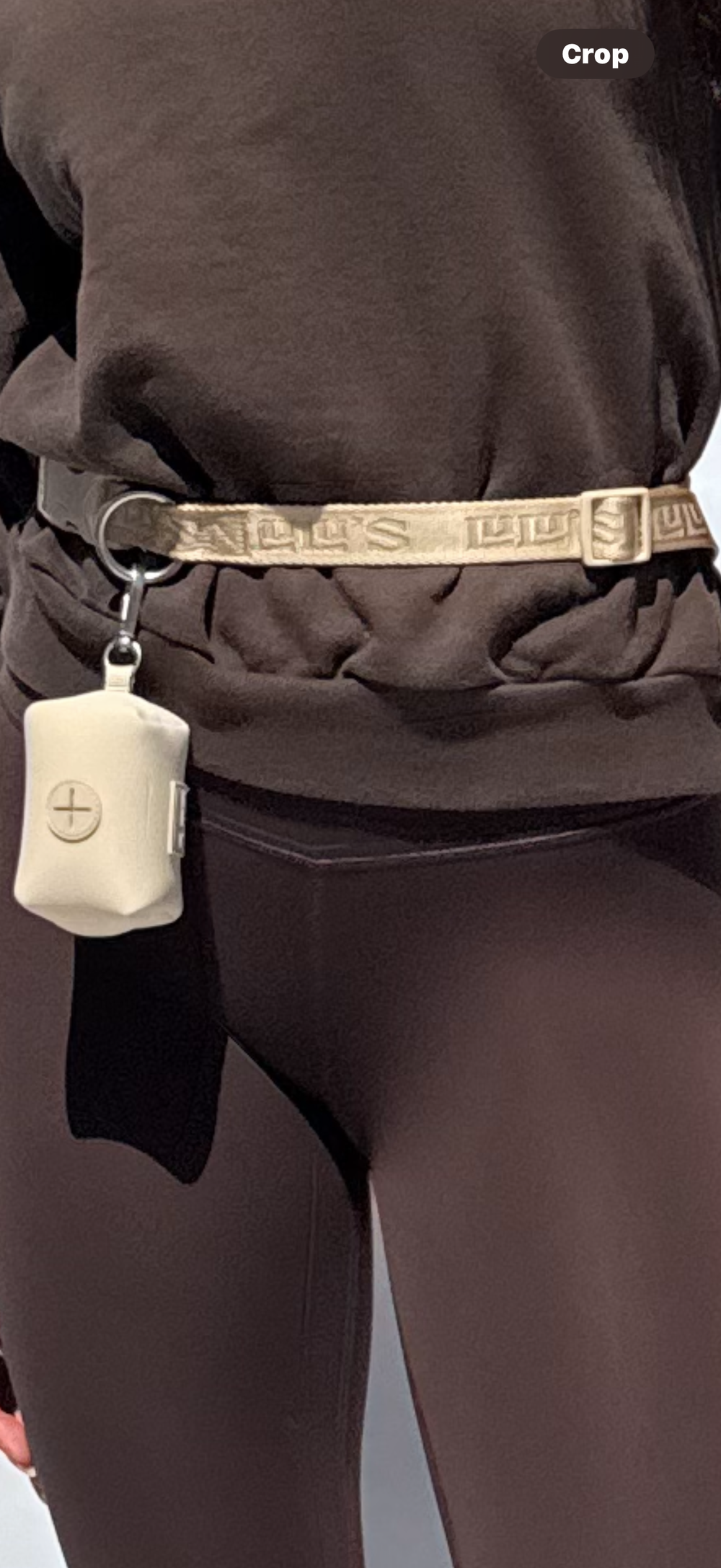 hands-free belt & leash set