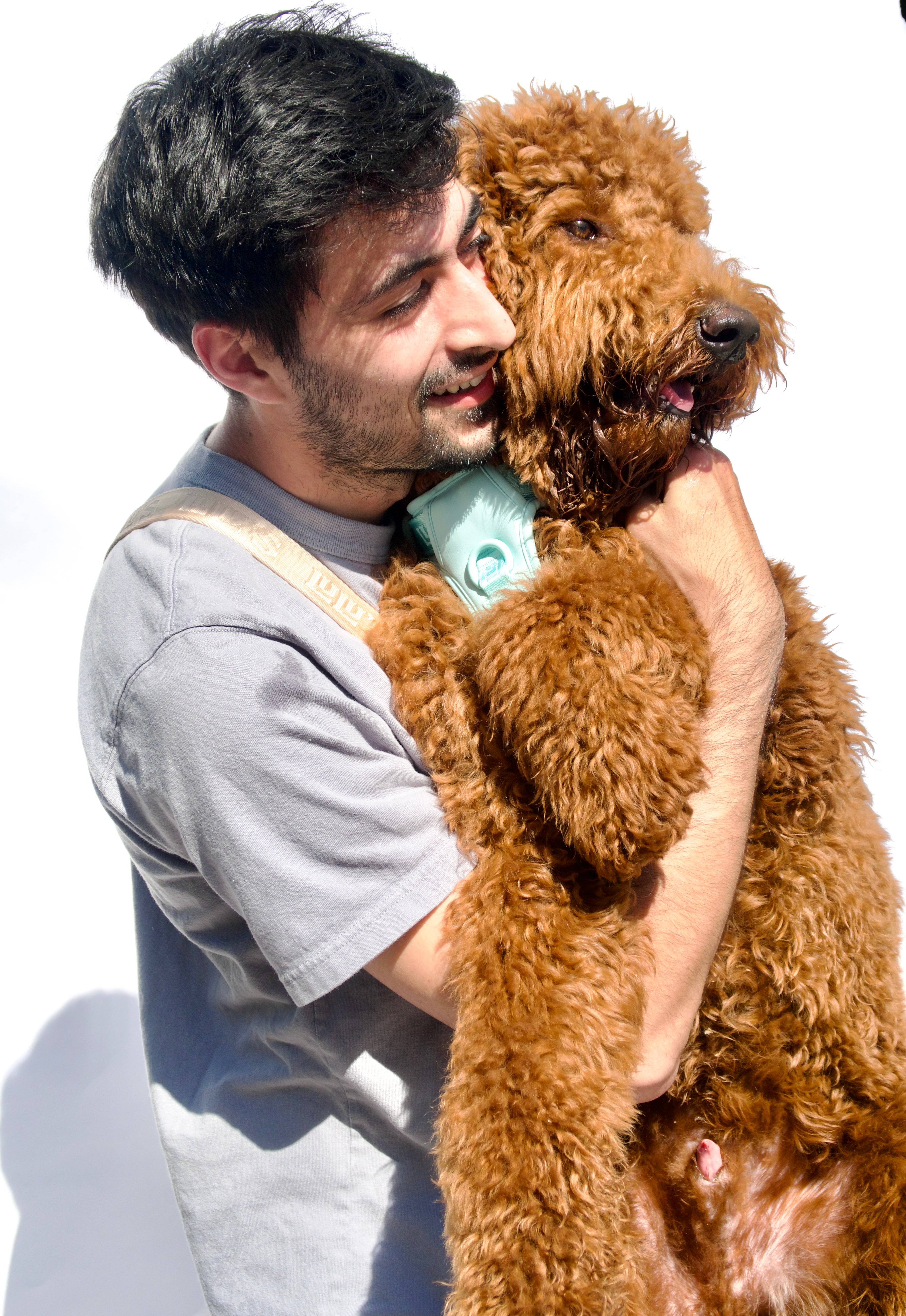 Man smiling and hugging a fluffy brown doodle dog while wearing an oat beige cross-body belt, with the dog in a Cali Blue harness from Lulu’s from Cali.