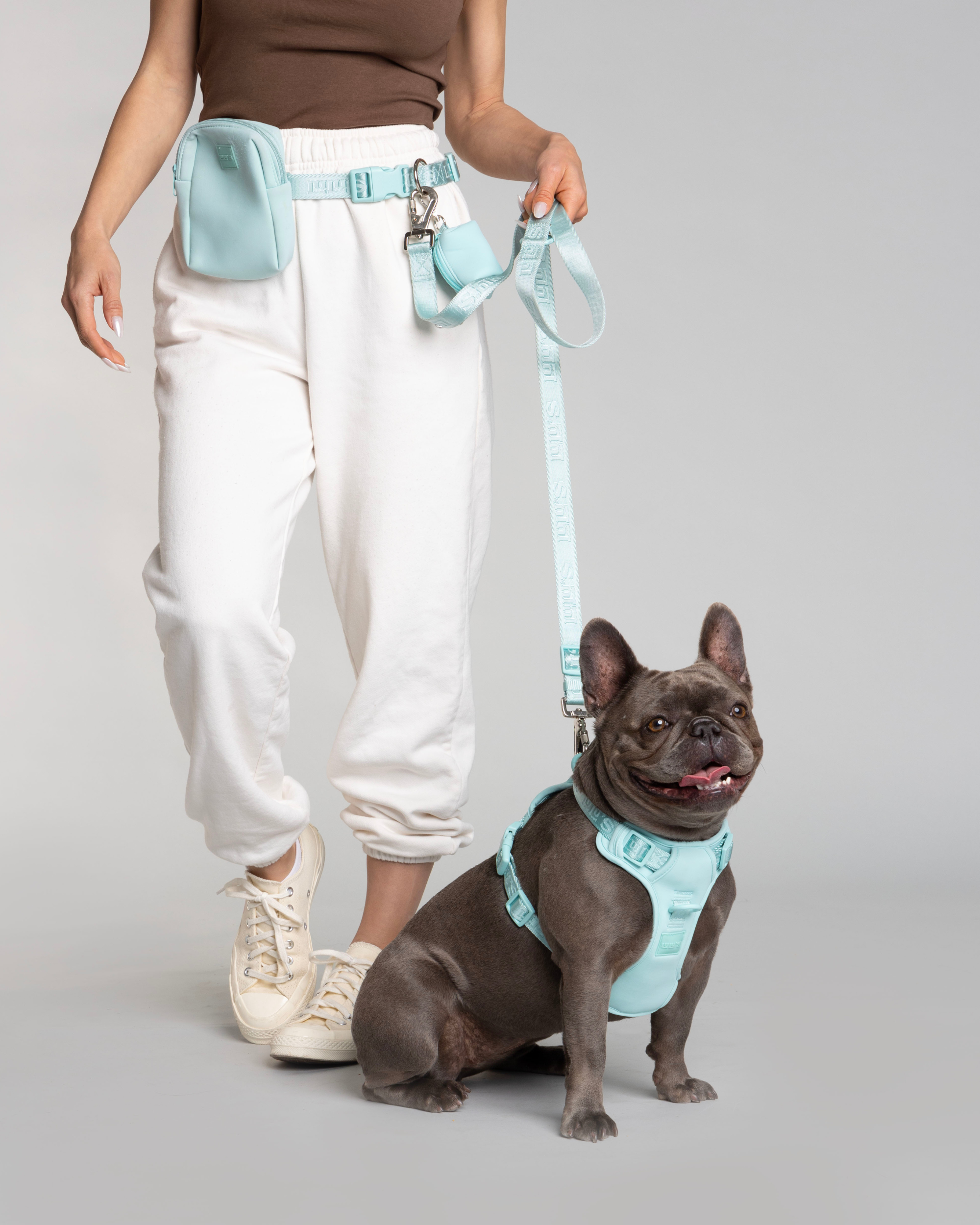 A woman wearing white pants and sneakers holds a Cali Blue leash attached to a happy dog sitting and wearing a matching harness. The woman has a matching pouch around her waist.