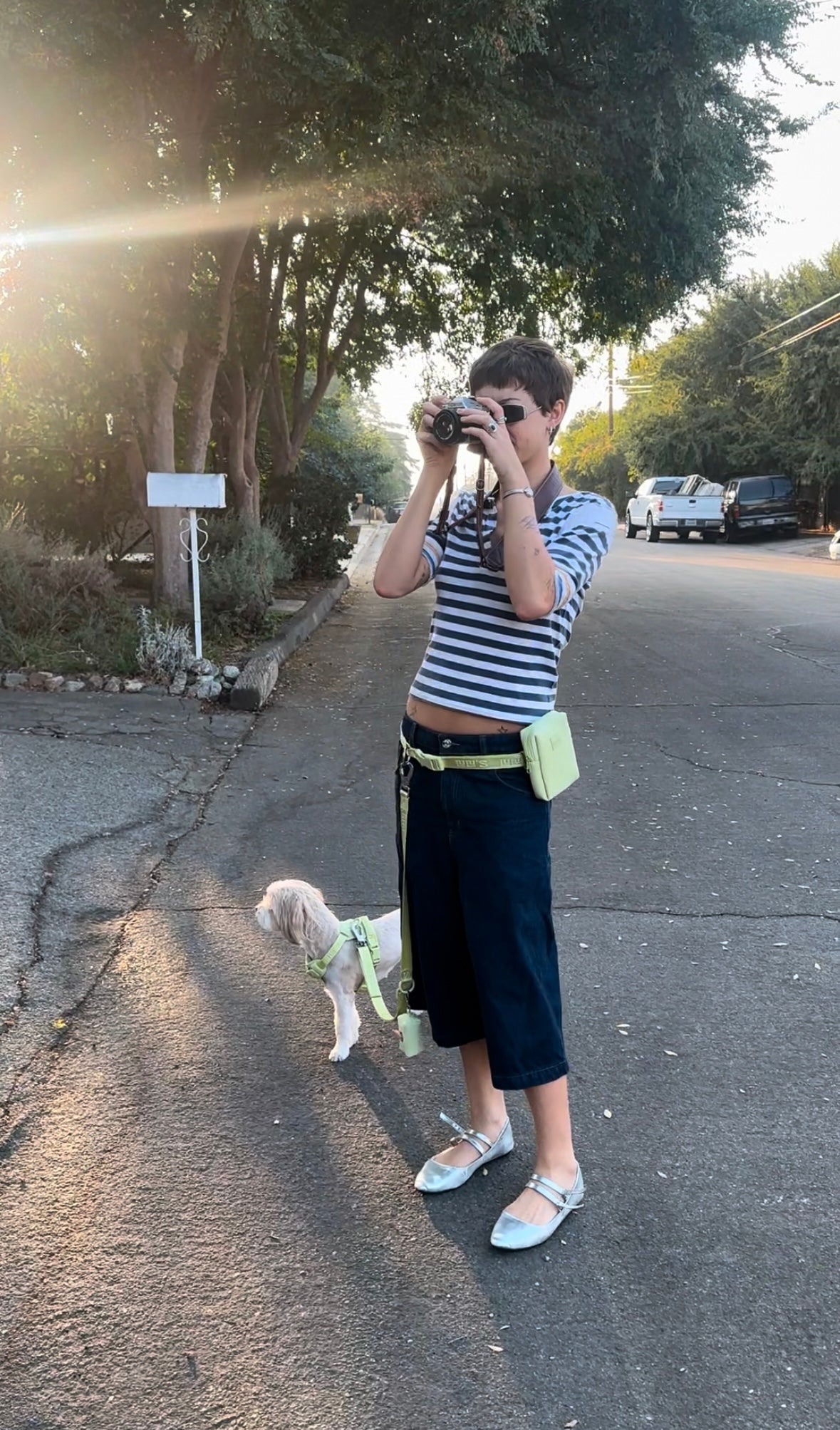 A person on a quiet, tree-lined street uses a camera while wearing Lulu's hands-free leash set in Matcha green. The set includes a cross-body bag and leash, with a matching harness worn by their small dog, standing calmly by their side. The sunlight filters through the trees, creating a serene atmosphere.