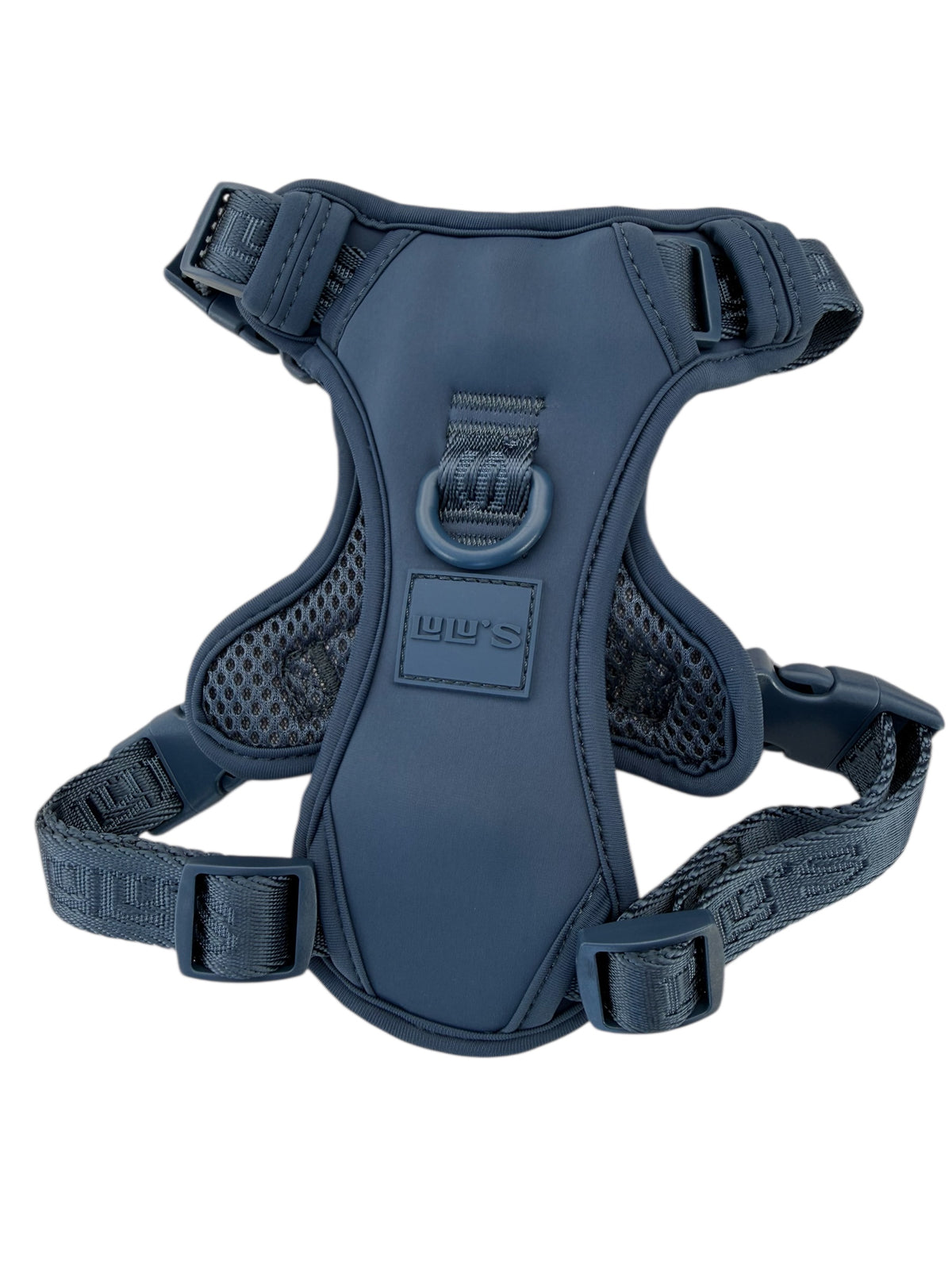 Back view of a Blueberry Blue dog harness, showcasing its adjustable straps, breathable mesh design, and secure D-ring for leash attachment.