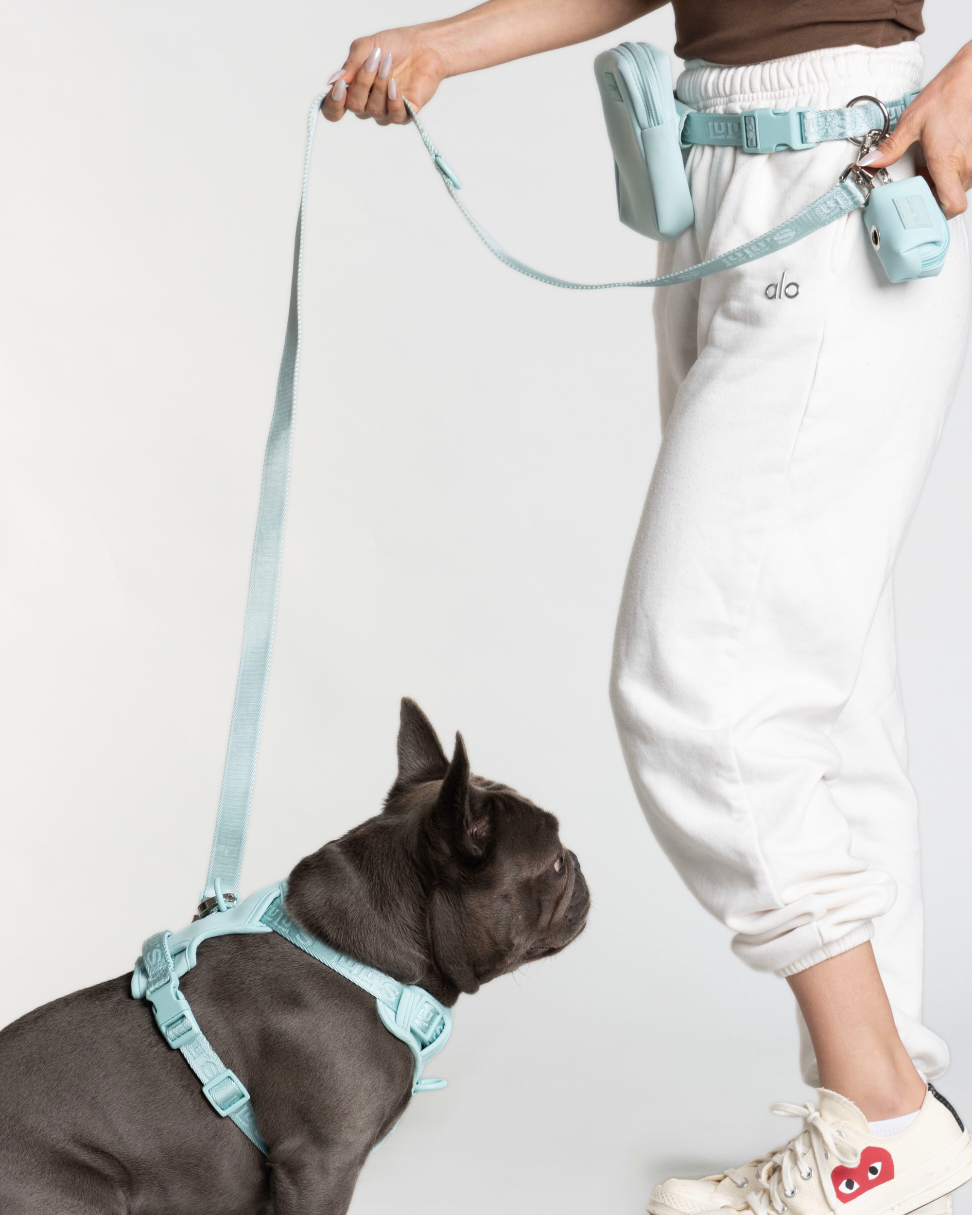 Person wearing white pants and a brown top, holding a leash and walking a black dog. The dog is wearing a Cali Blue harness and leash, and the person has a matching pouch and poop bag holder, all featuring the Lulu's brand logo.
