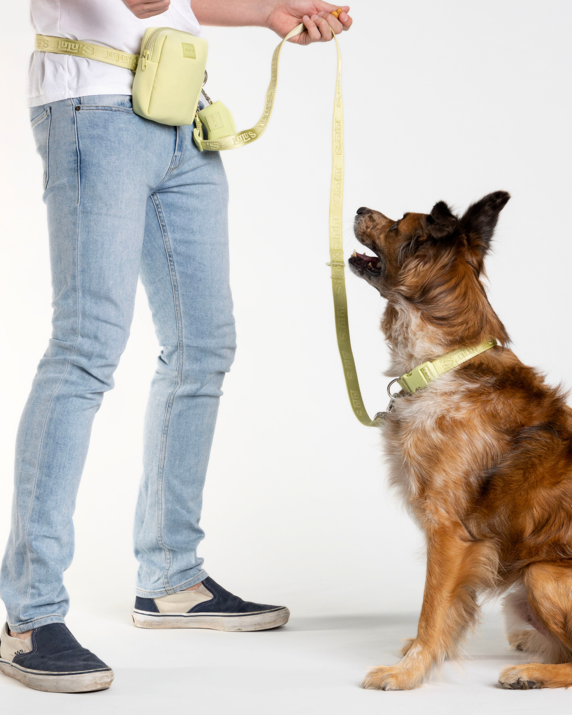 A person wearing a white t-shirt and jeans, using a citrus green Lulu's crossbody dog walking set, including a pouch and leash, training a large dog wearing a matching Matcha Green Lulu's collar. The dog is looking up attentively at the person