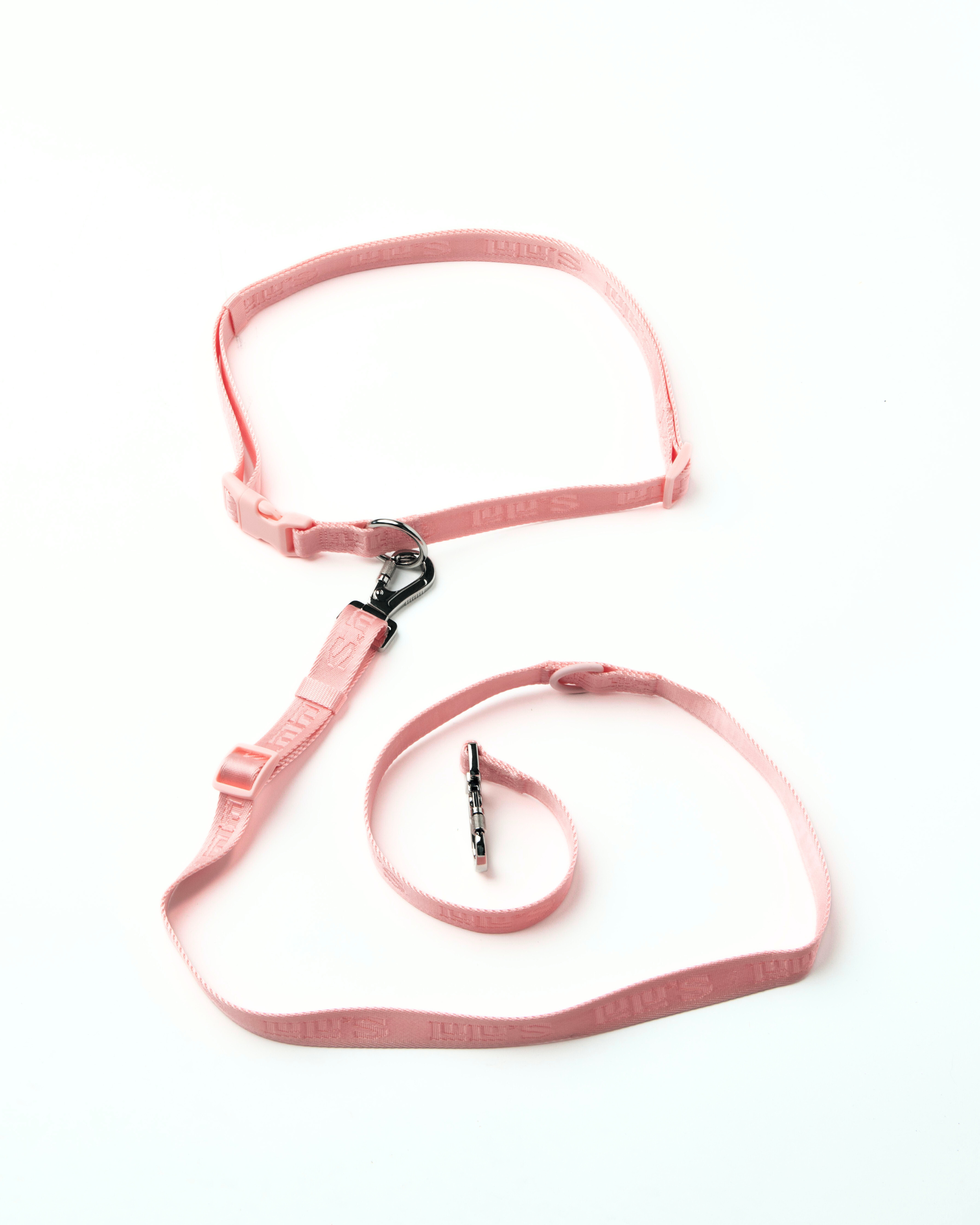 A Blush pink Lulu's adjustable waist belt and leash set with metal clips and buckles, featuring the brand's logo and a durable design, laid out flat